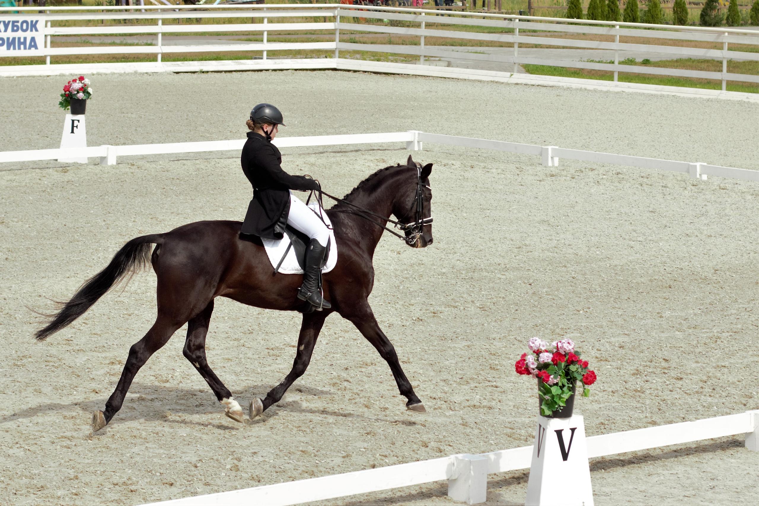 Соревнования по верховой езде. Фотограф в Москве Светлана Богначева