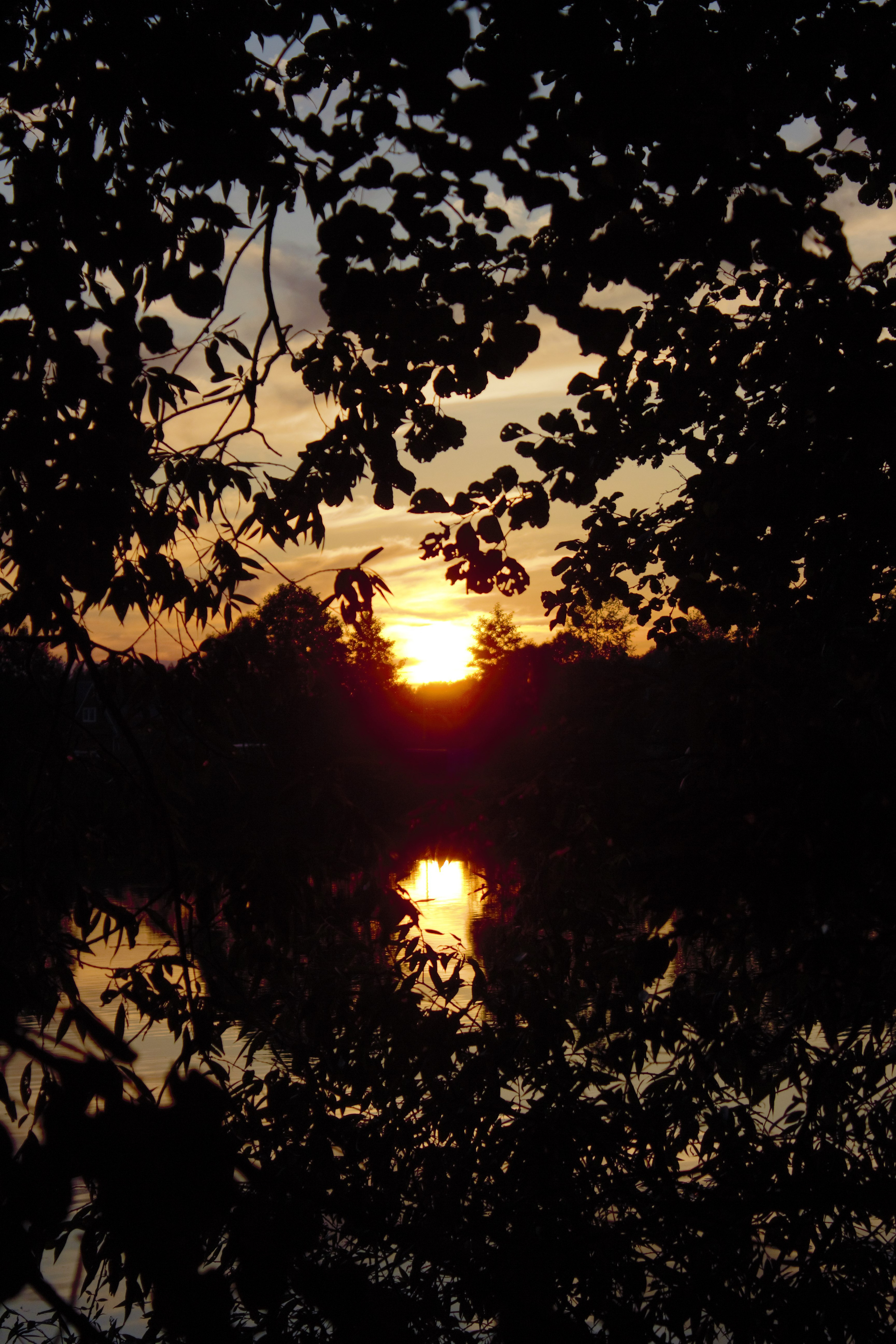 Природа. Фотограф в Москве Светлана Богначева