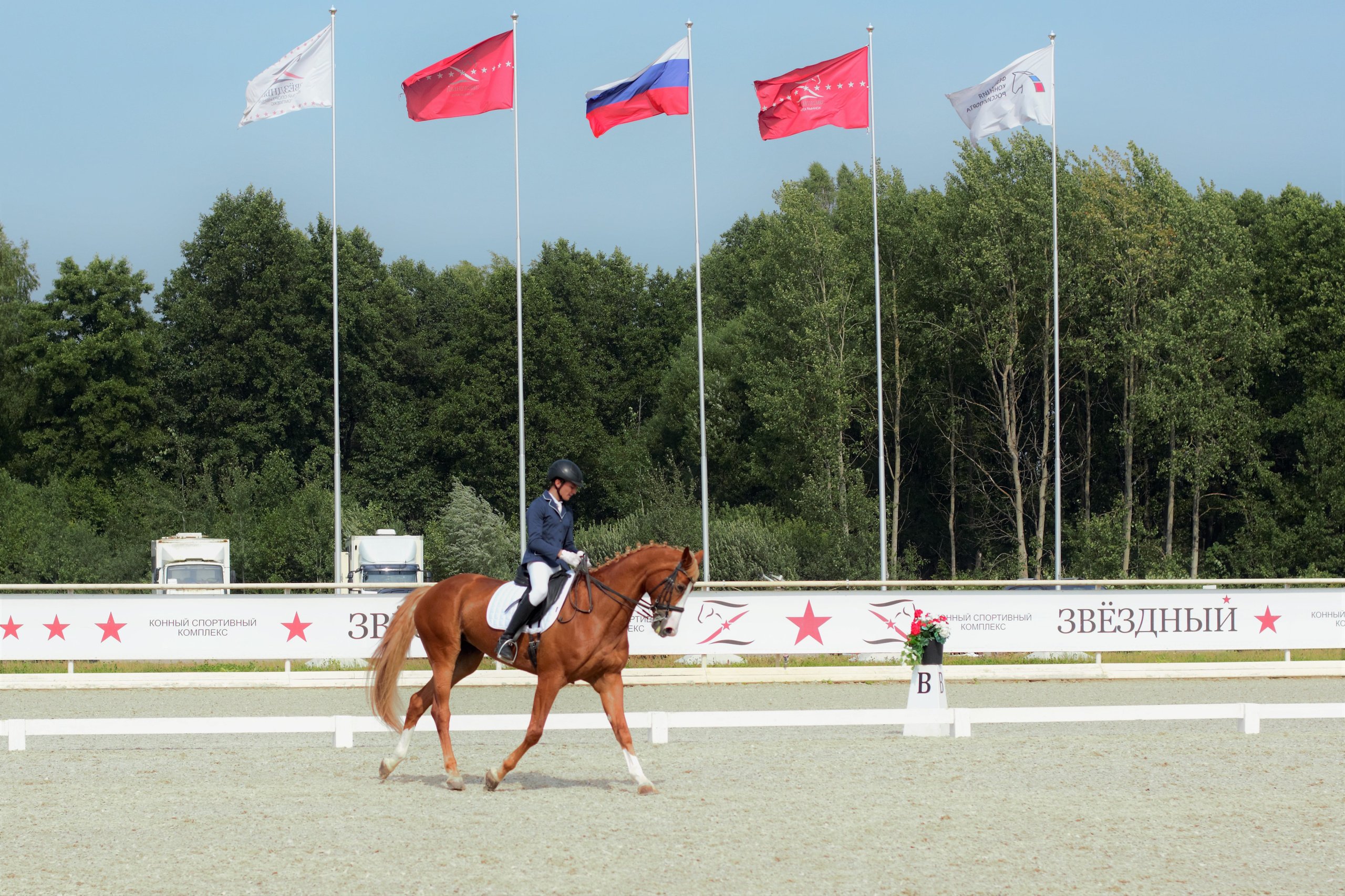 Соревнования по верховой езде. Фотограф в Москве Светлана Богначева