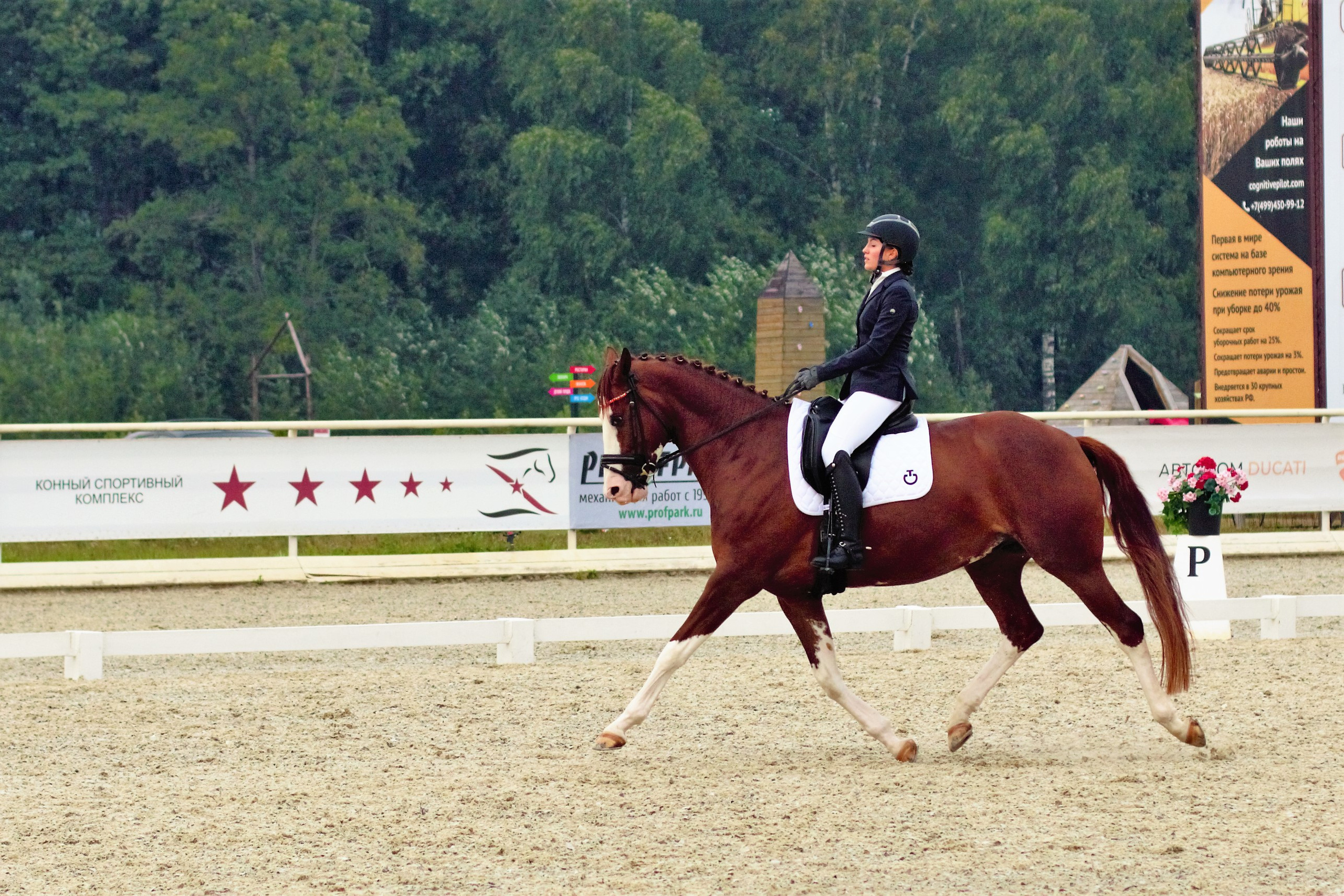 Соревнования по верховой езде. Фотограф в Москве Светлана Богначева