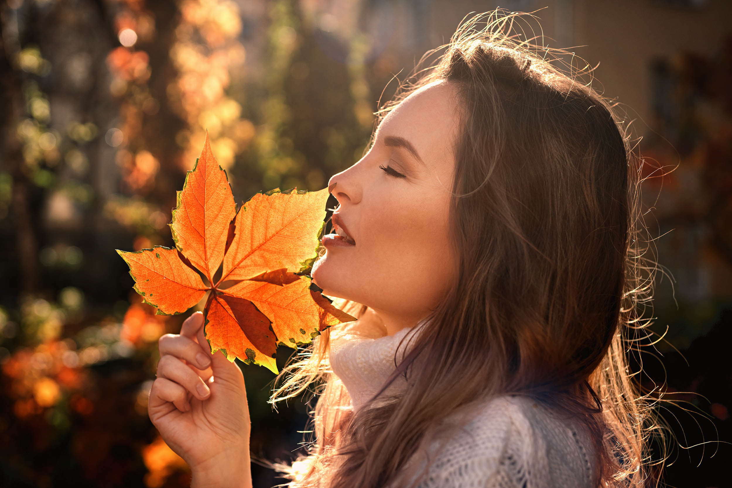 Ознакомительная страница галерея с фотографиями Федора Серебрякова