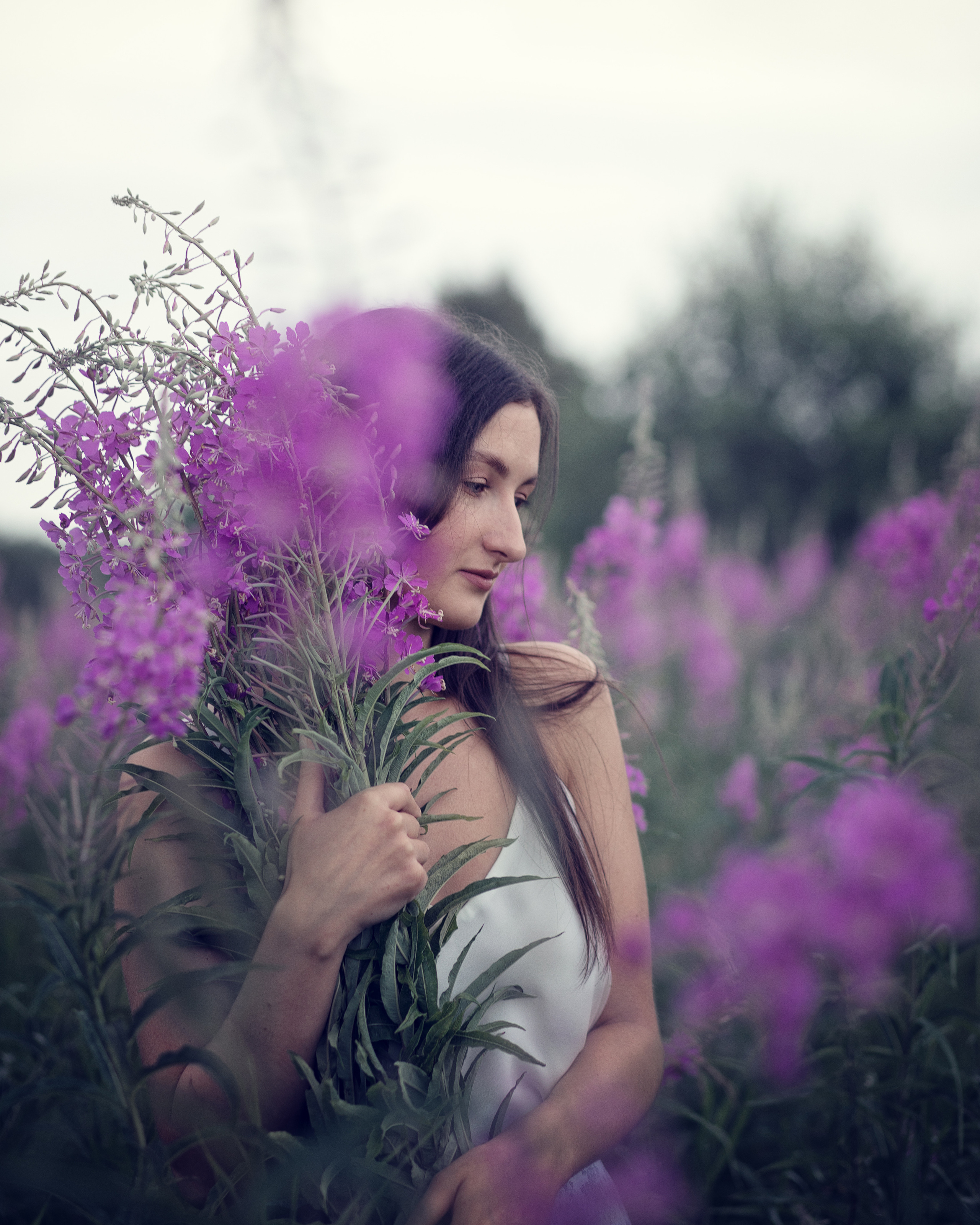 Фотопрогулки. Главная