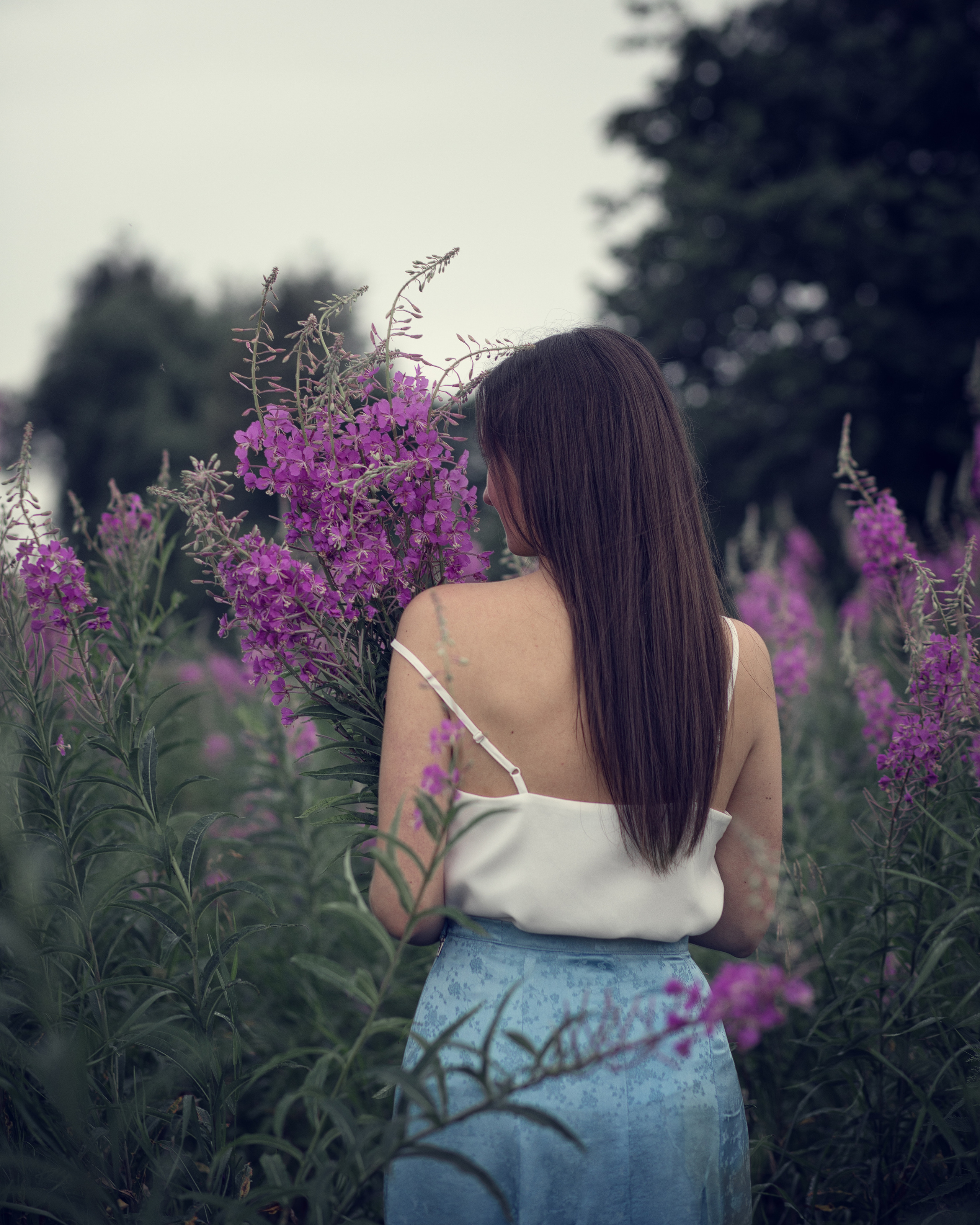 Фотопрогулки. Главная