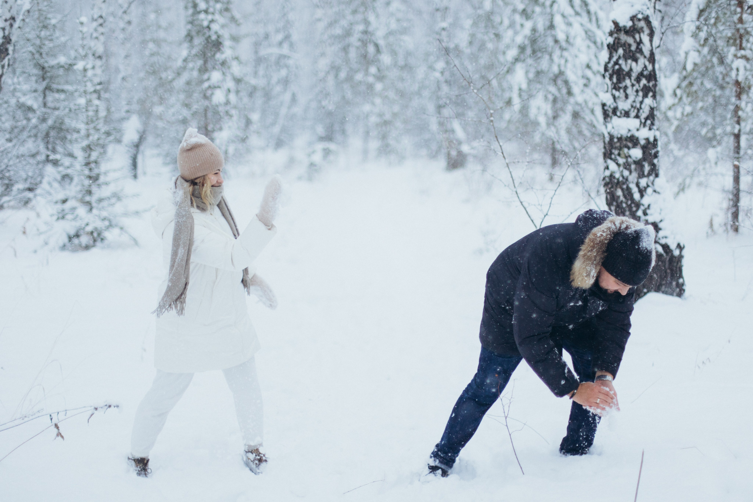 Зимняя история