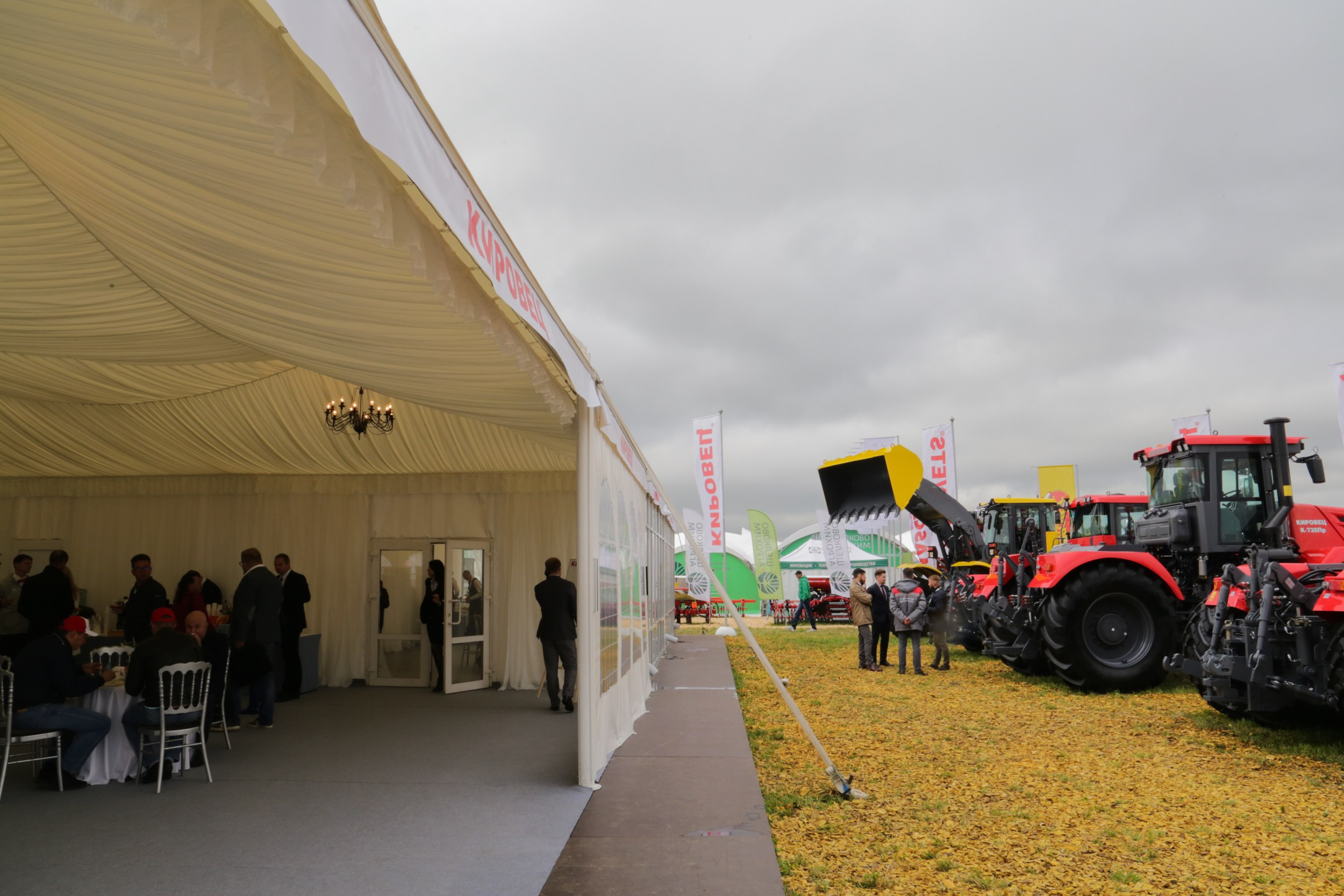 Репортаж — День поля 2019. Свадебный и семейный фотограф в Санкт-Петербурге Макеева Наталья