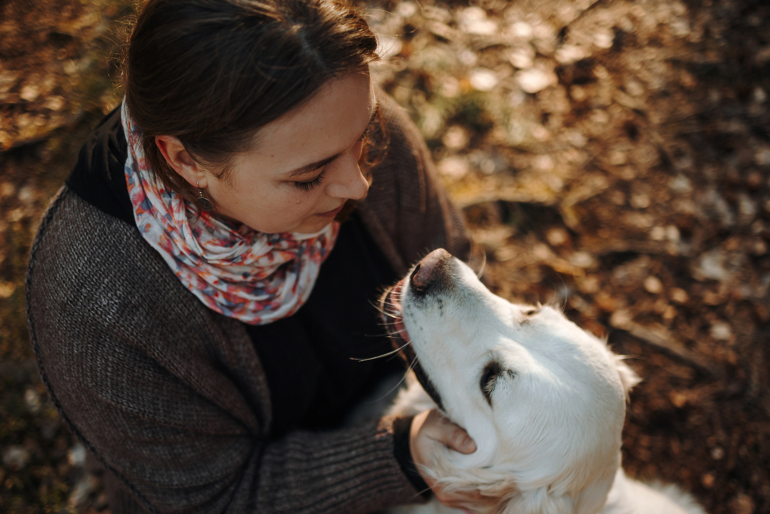 Катя и ее девочки. Фотограф — Анималист | Санкт-Петербург