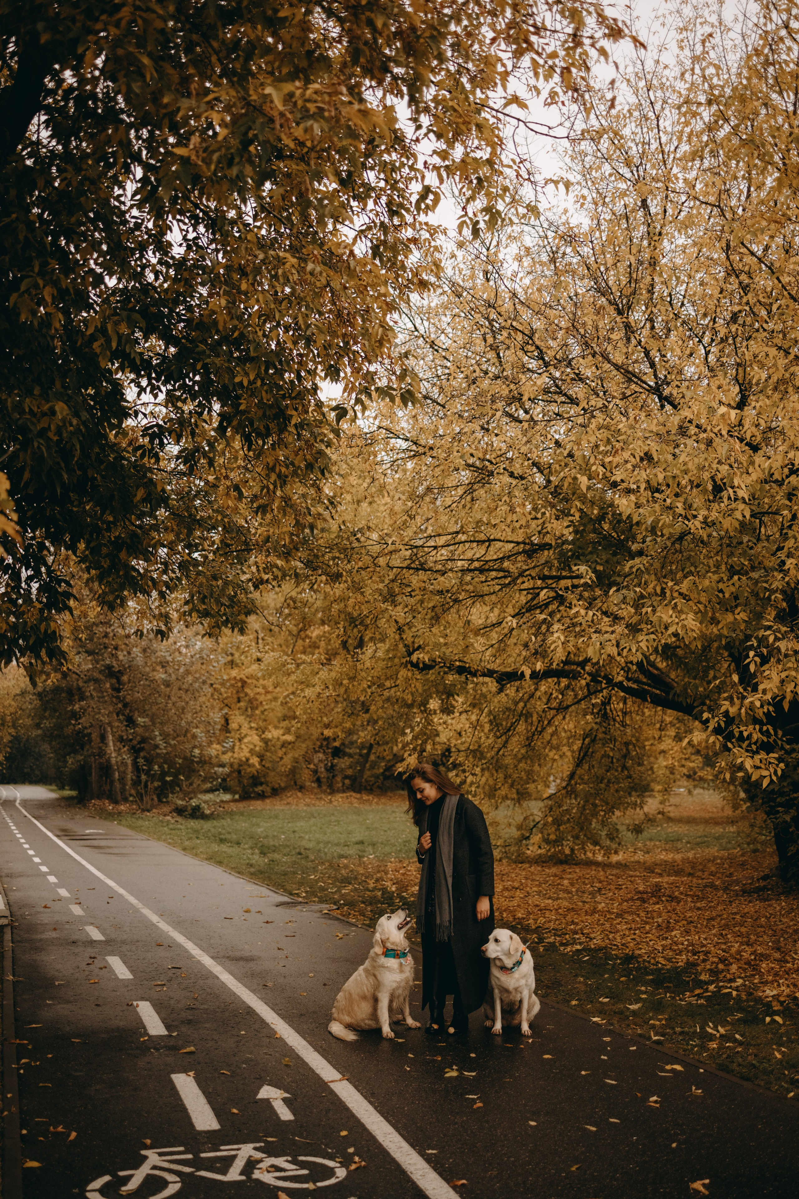 Женя и ее девочки. Фотограф — Анималист | Санкт-Петербург