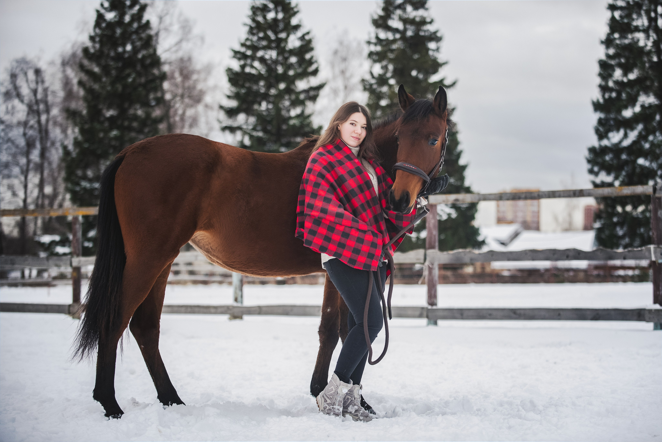 Дестини. Куракина Дарья • Конный фотограф