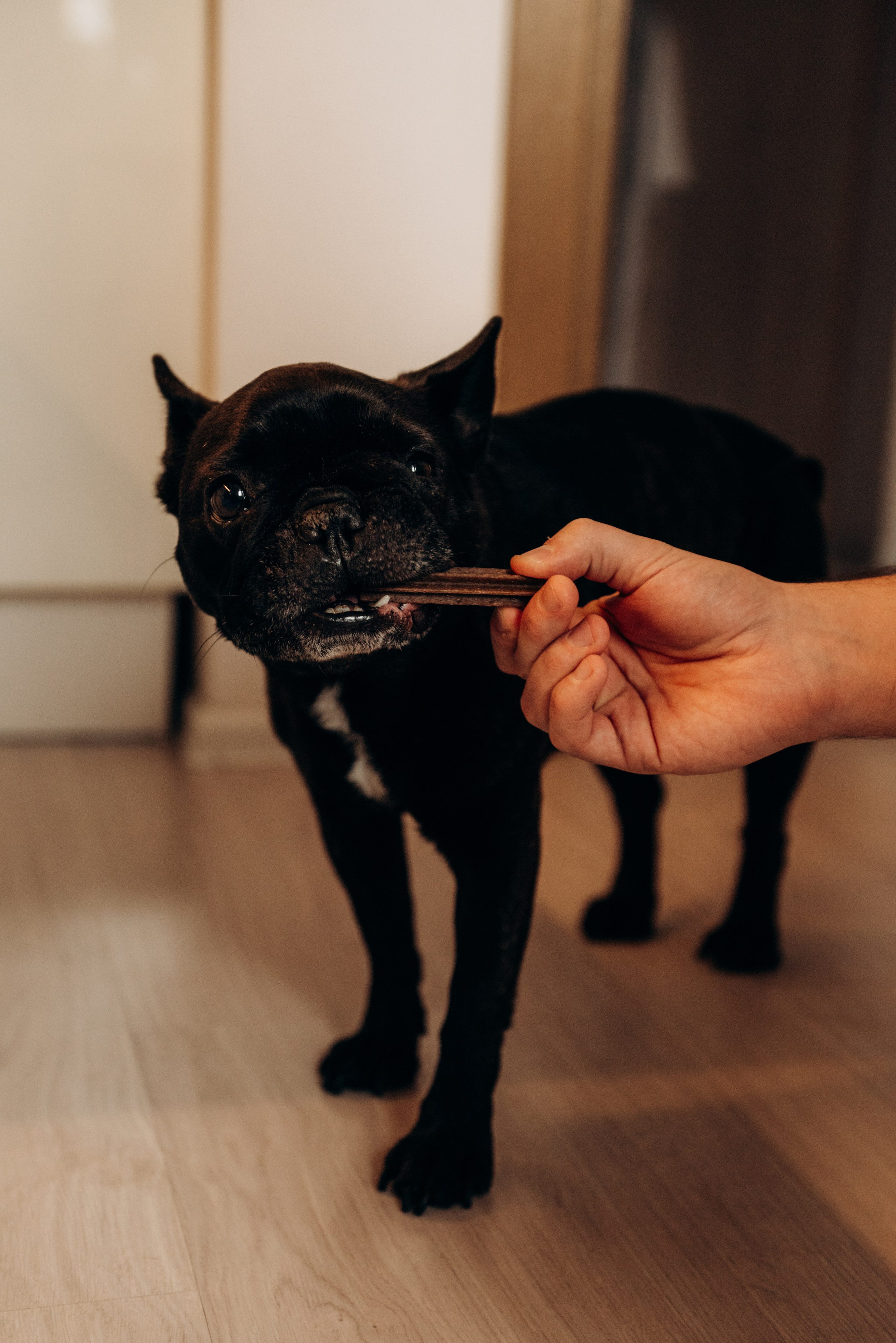 Наташа + Илья + Кира. Фотограф в Санкт-Петербурге Пономарева Юлия