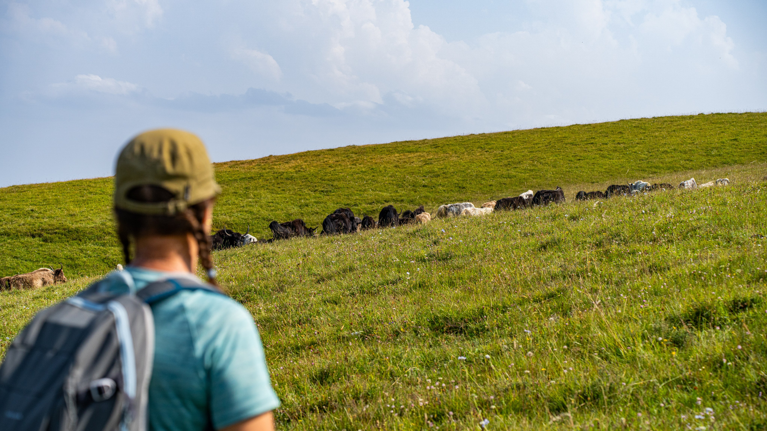 Дагестан. Фотограф в Москве. Шахабудин