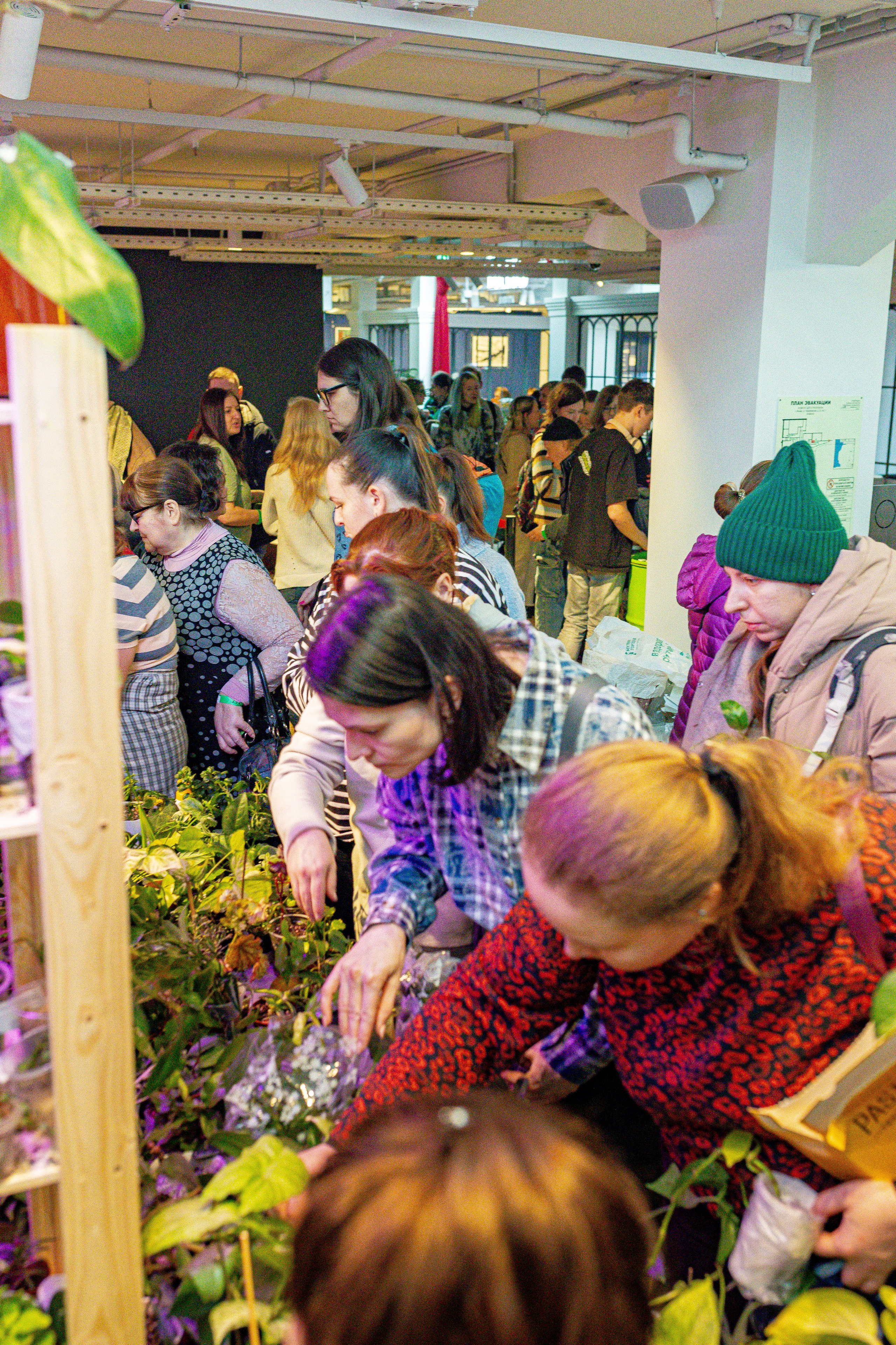 Growbox 1–2 марта. Александра Куликова фотограф, Москва