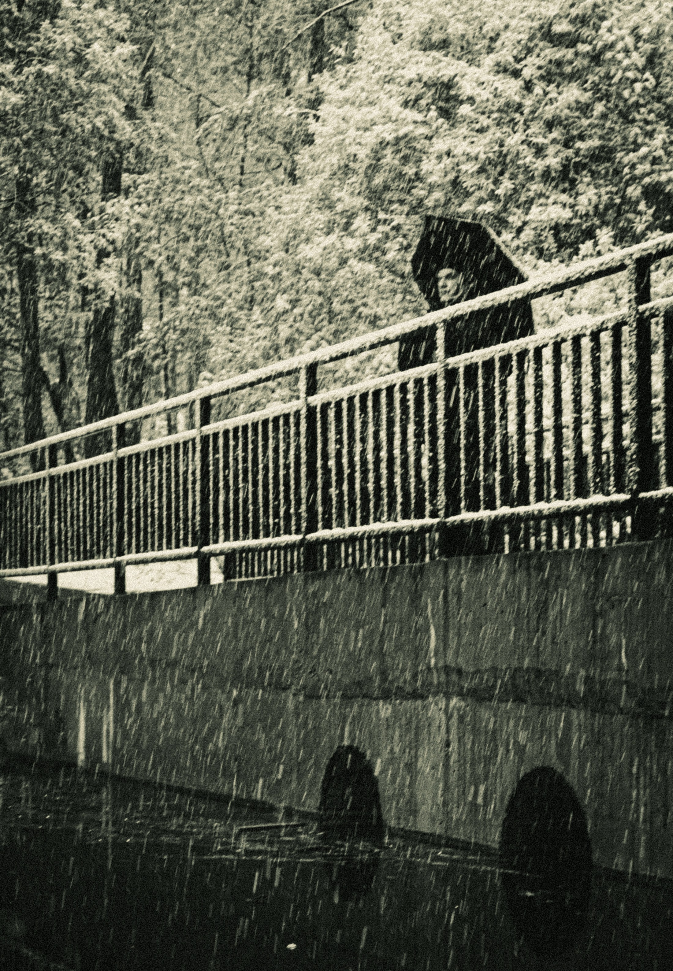 Portraits. Arseny Sapelkin