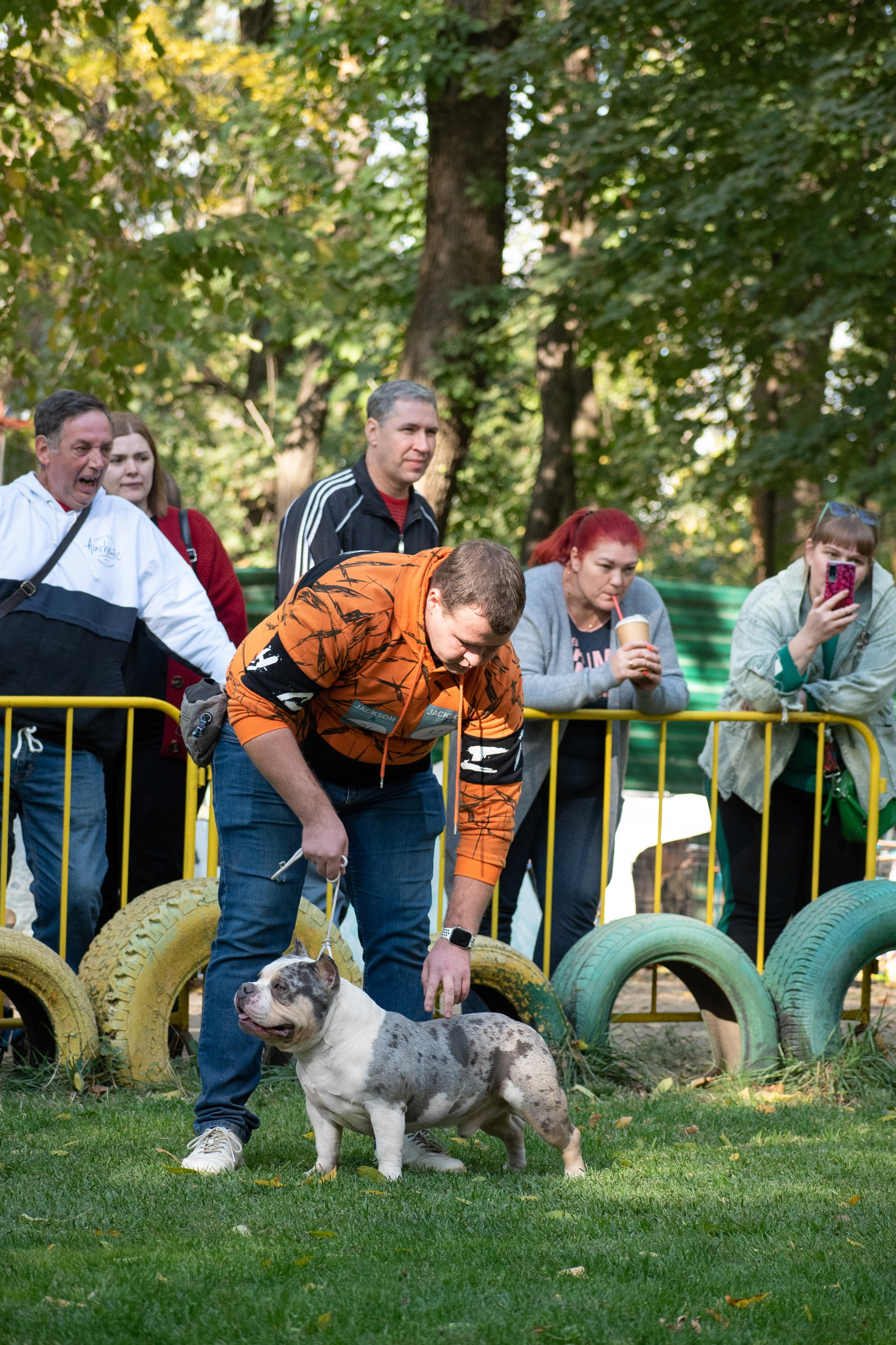 Выставки и дрессировка. Фотограф анималист в Ростове I Гончарова Анна