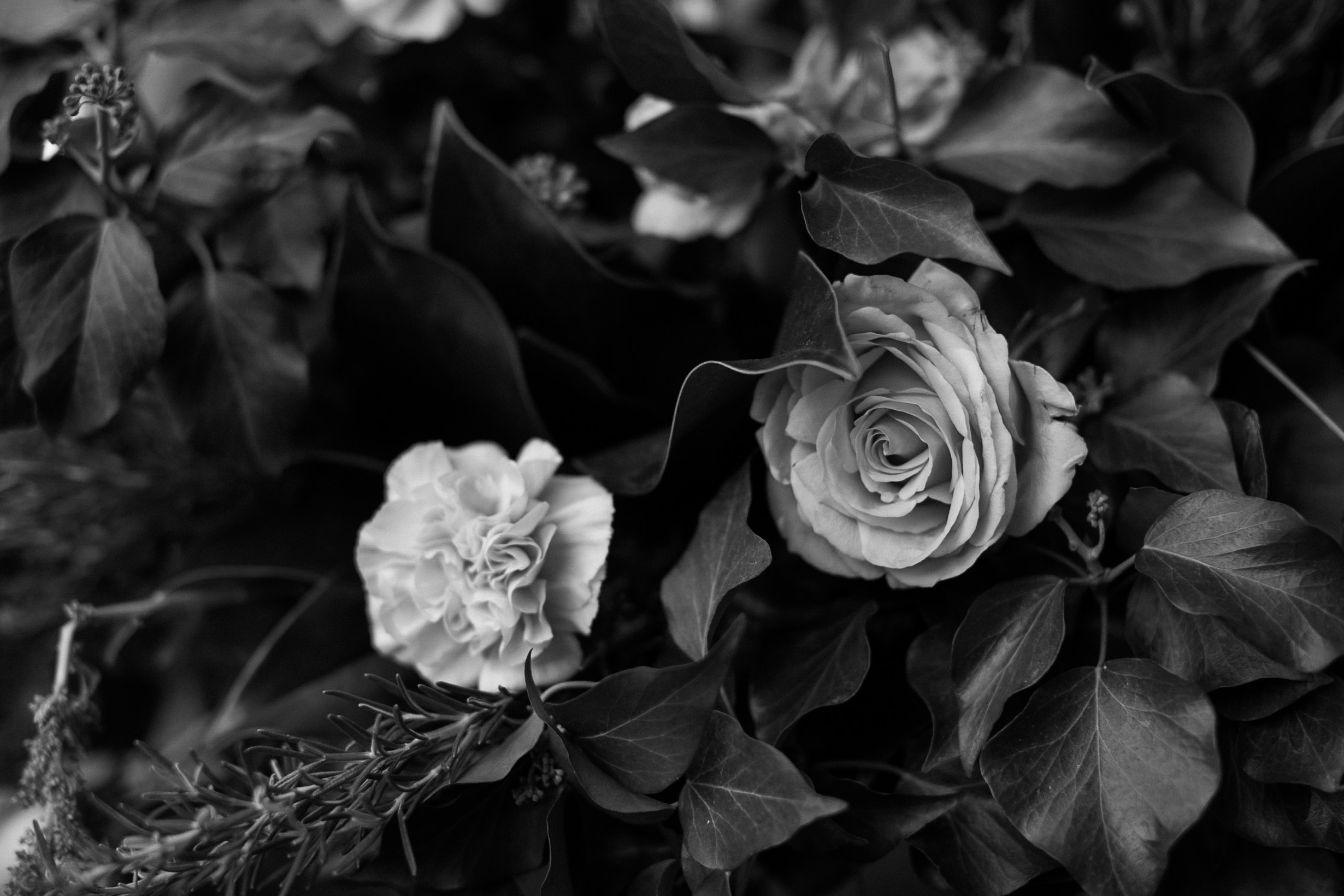 THE_LAST_HERO. Wedding photographer in Europe