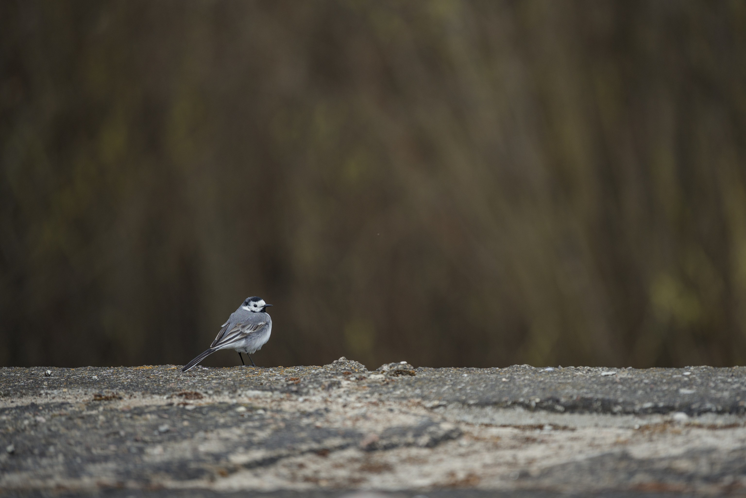 Водный поход 1-й кс по реке Случь. Репортажный фотограф Владимир Беляй