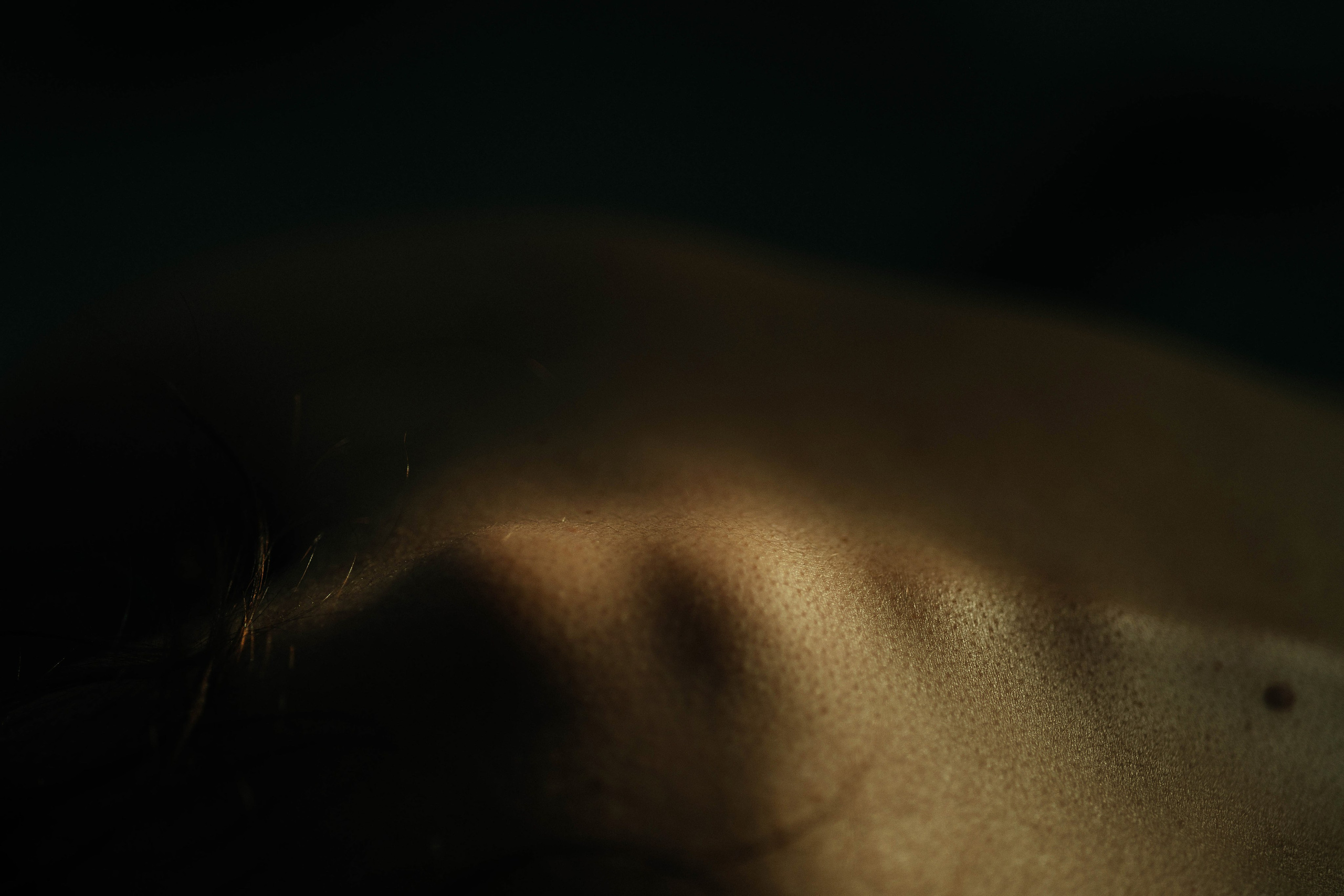 Лилия. Фотограф Жанна Лефлер