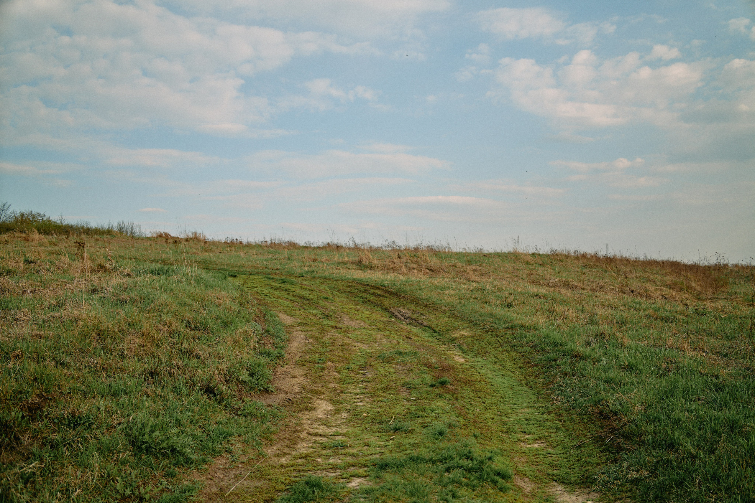 Бутик-отель Поле летом. Профессиональный Фотограф во Владимире, в Москве и в Суздале — Полина Романычева