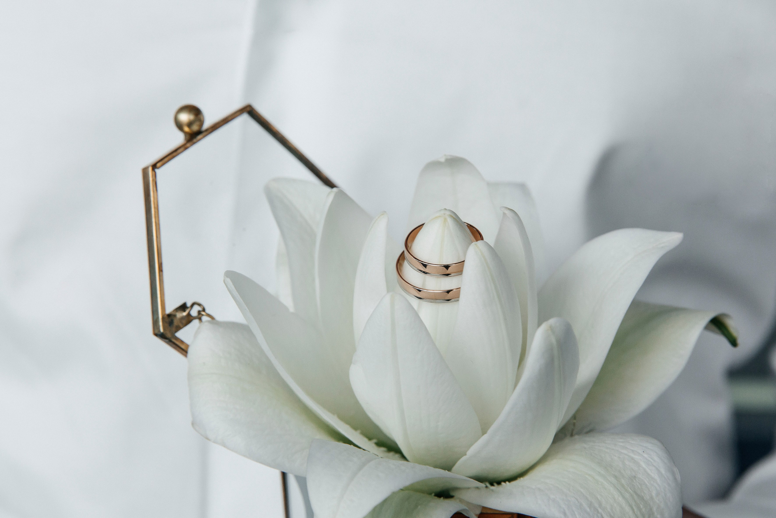 Александр и Алина. Фотограф Анна Анисимова. Свадьбы, портреты, творческий репортаж