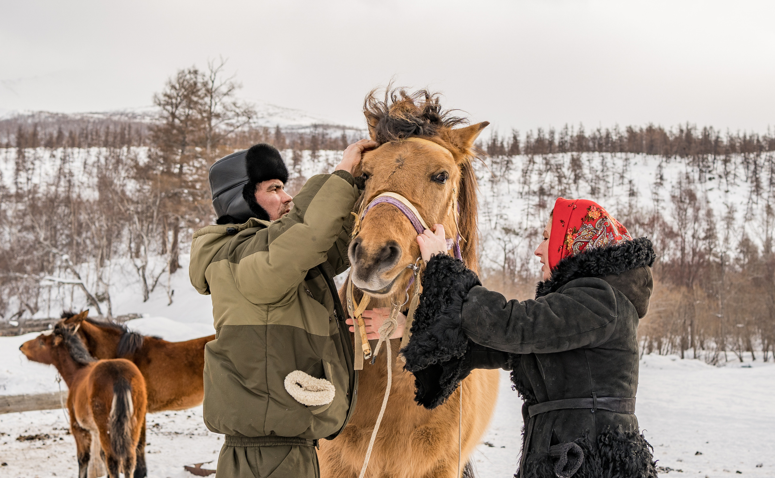 Эссо в лицах. Фотограф Ворошилов Дмитрий. Эссо. Камчатка