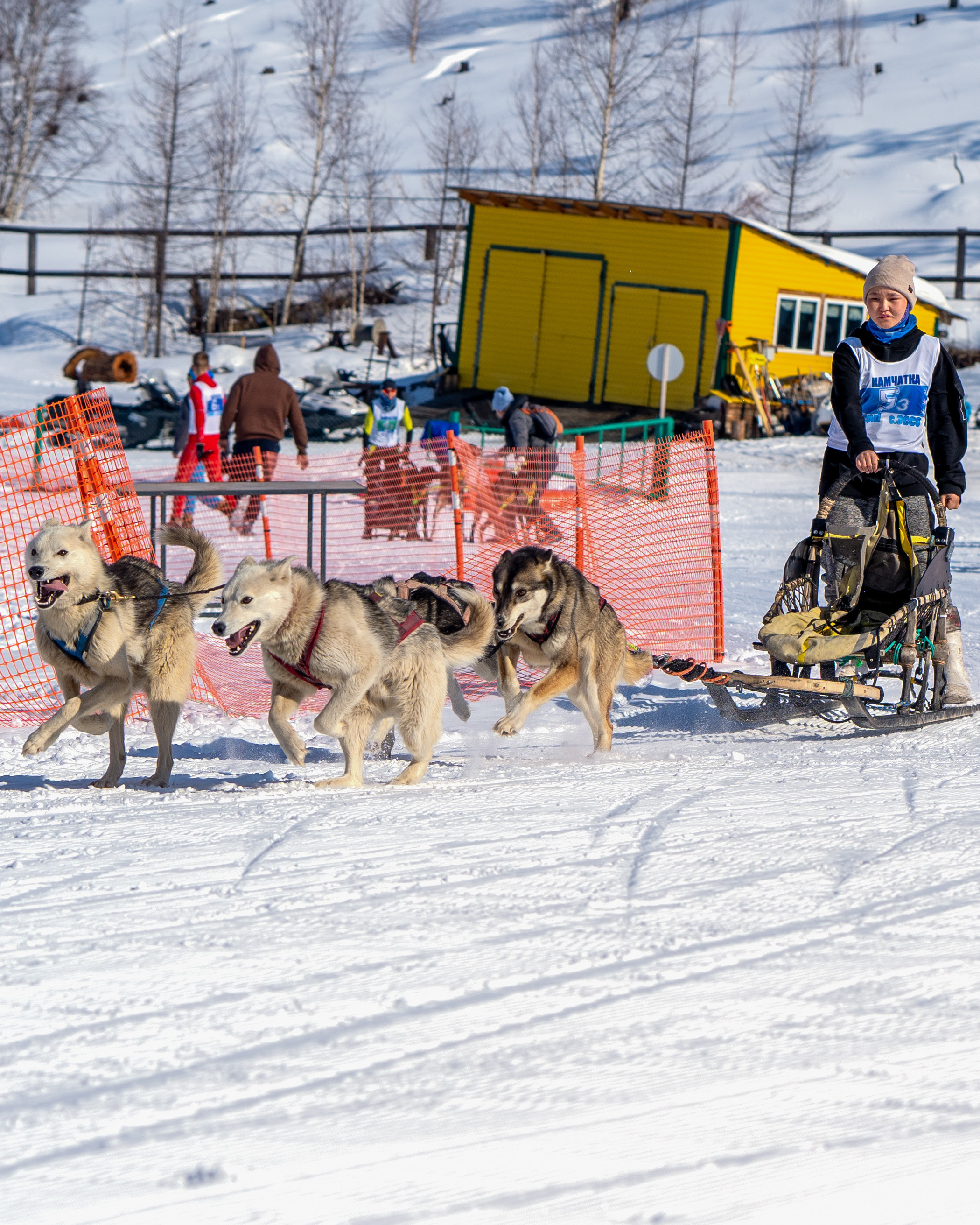 Эссо фото. Фотограф Ворошилов Дмитрий. Эссо. Камчатка