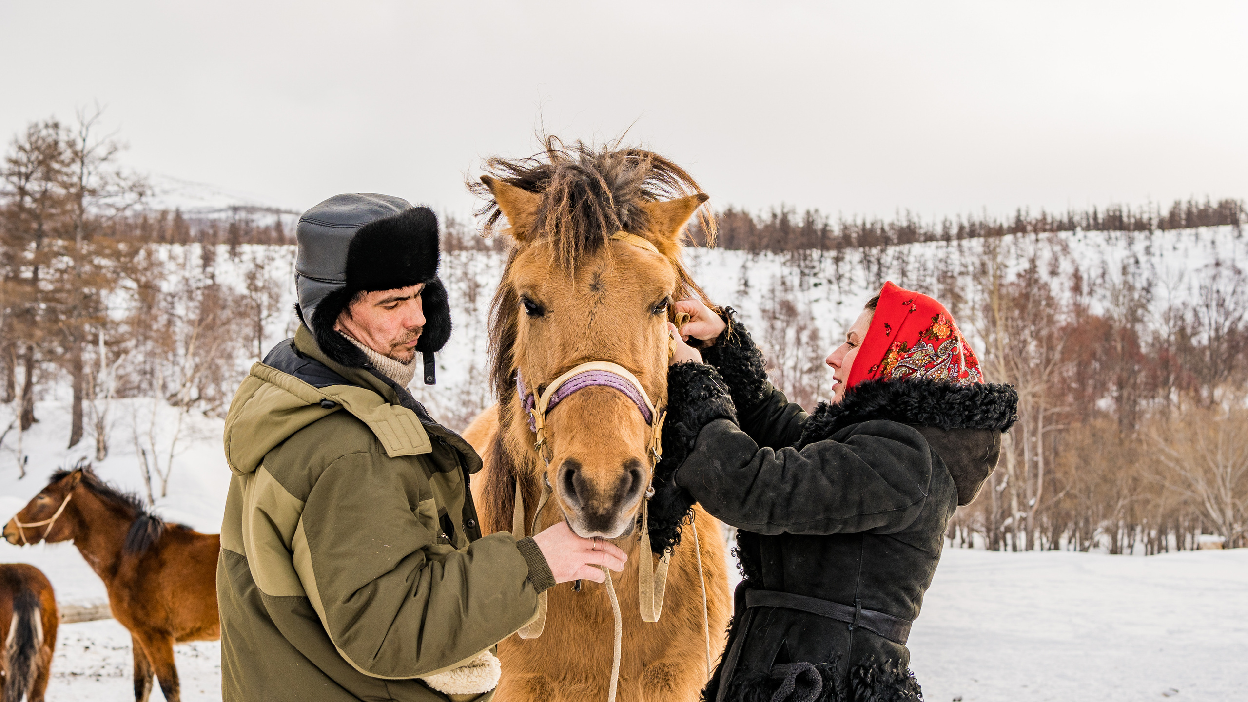 Эссо в лицах. Фотограф Ворошилов Дмитрий. Эссо. Камчатка