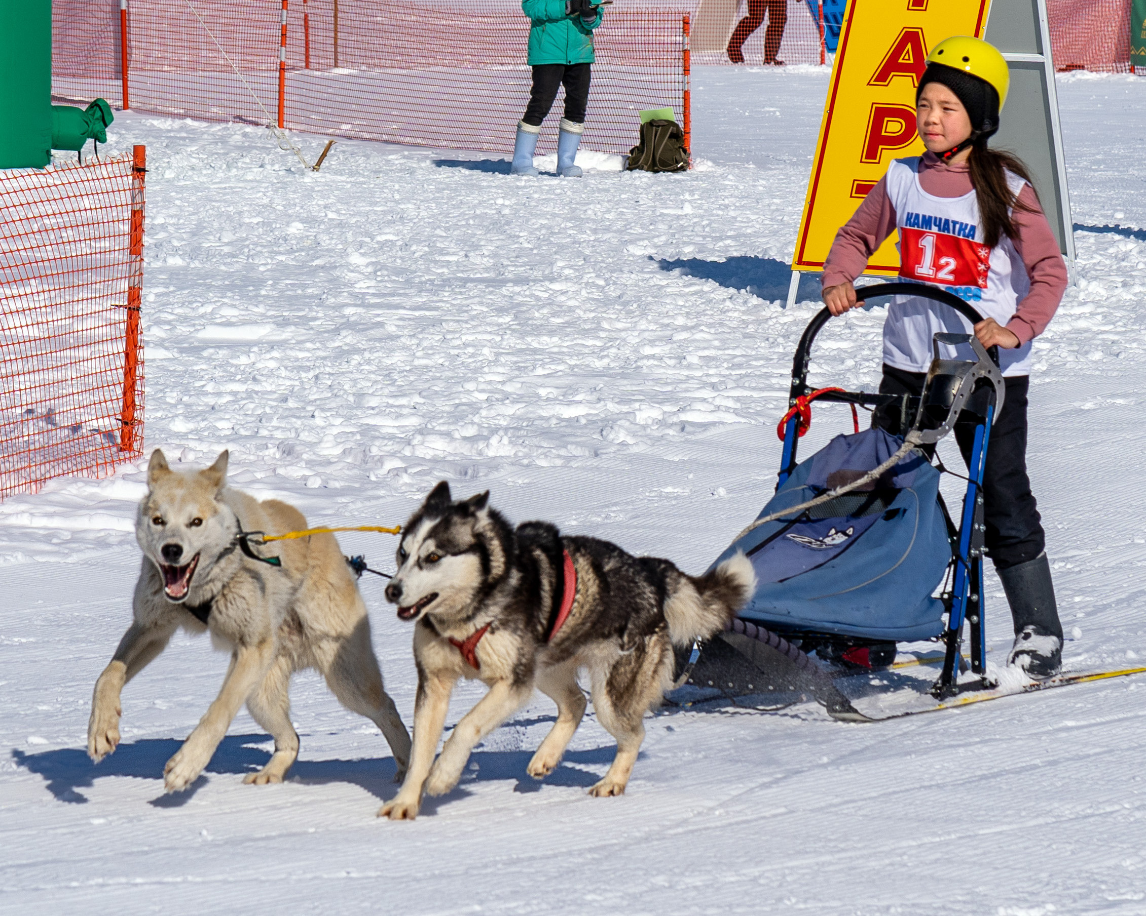 Эссо фото. Фотограф Ворошилов Дмитрий. Эссо. Камчатка