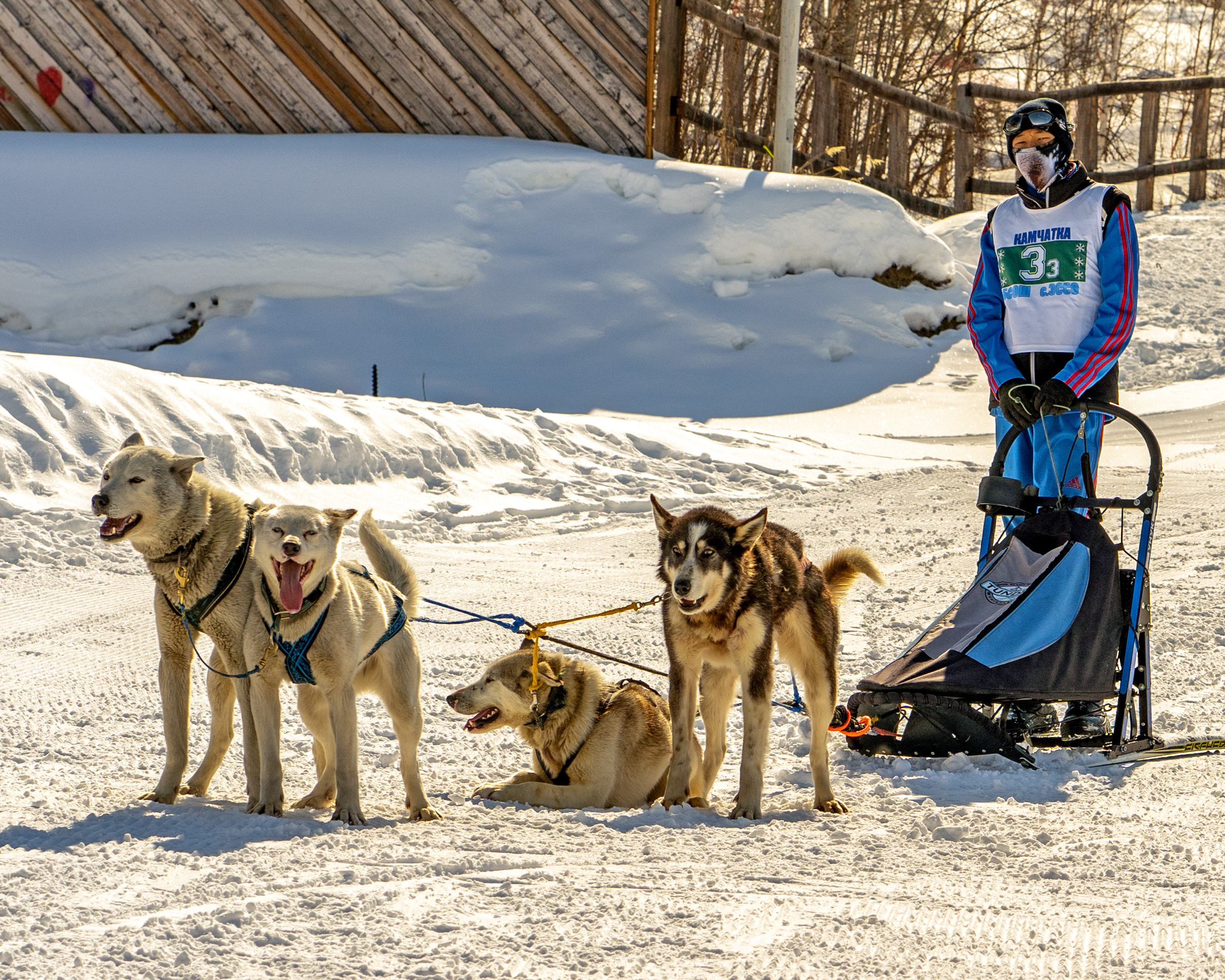 Эссо фото. Фотограф Ворошилов Дмитрий. Эссо. Камчатка