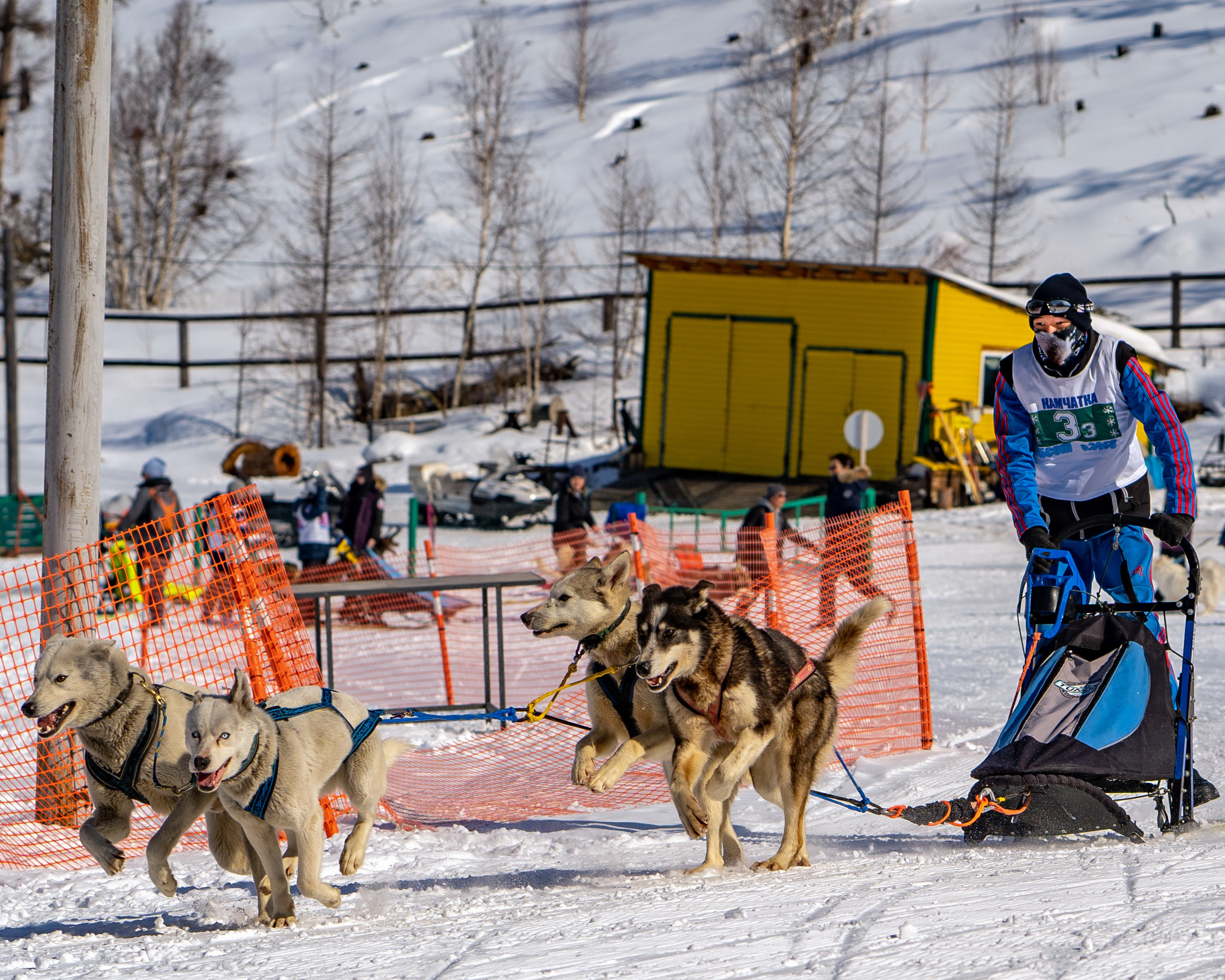 Эссо фото. Фотограф Ворошилов Дмитрий. Эссо. Камчатка