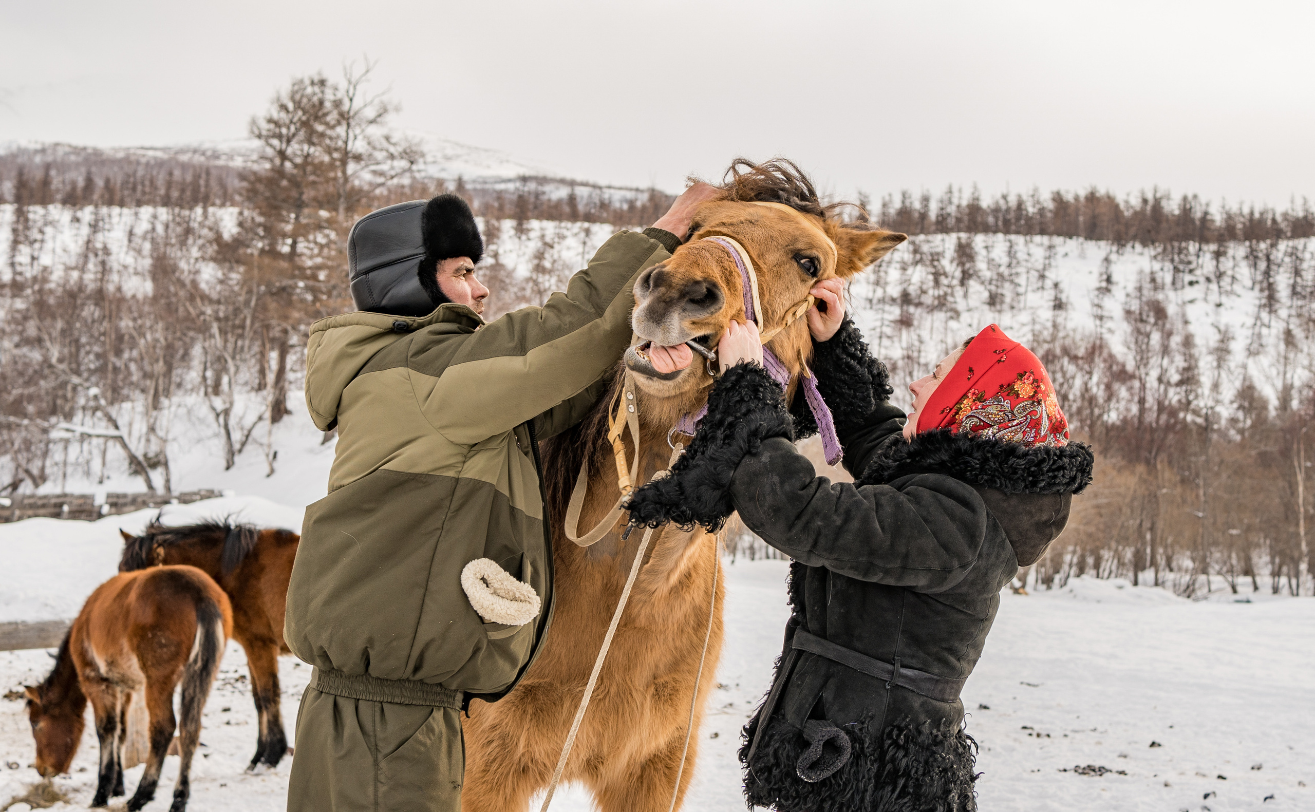 Эссо в лицах. Фотограф Ворошилов Дмитрий. Эссо. Камчатка