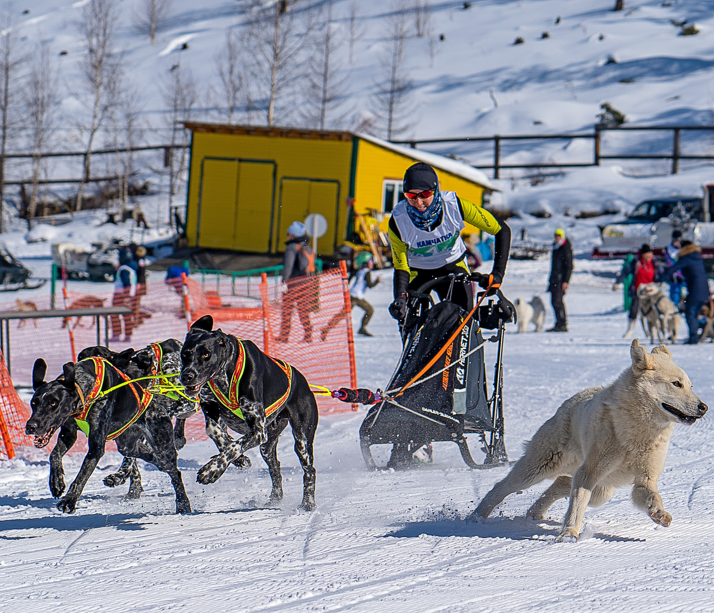 Эссо фото. Фотограф Ворошилов Дмитрий. Эссо. Камчатка