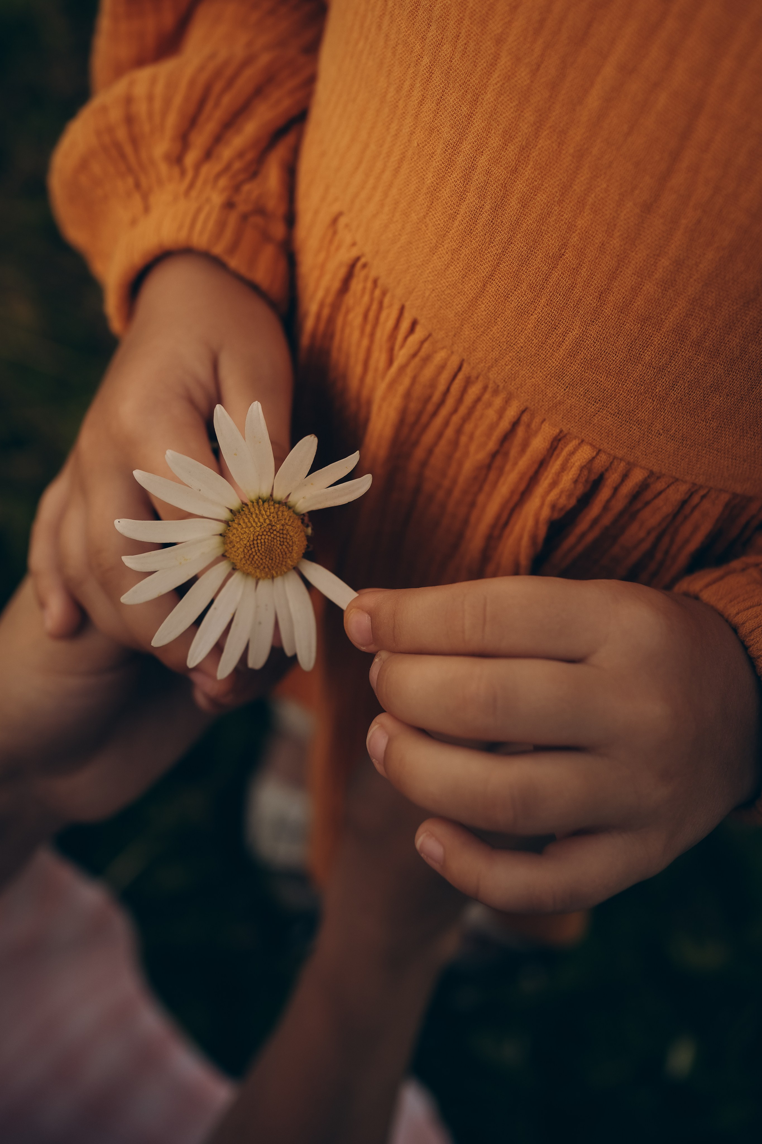 Анастасия и Маруся. Семейный и детский фотограф Плесецк, Мирный Марина Забабурина