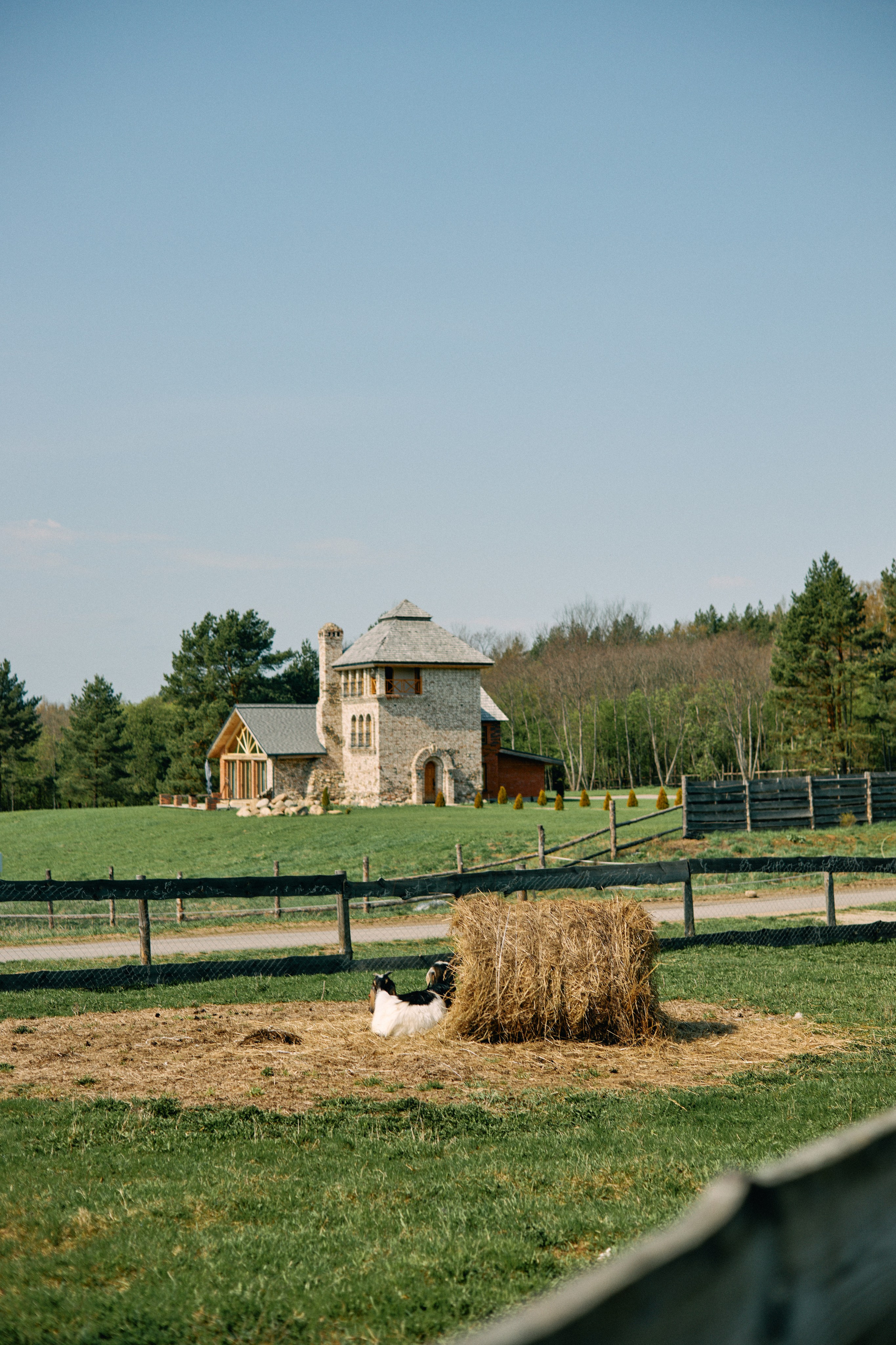 Бутик-отель Поле летом. Профессиональный Фотограф во Владимире, в Москве и в Суздале — Полина Романычева
