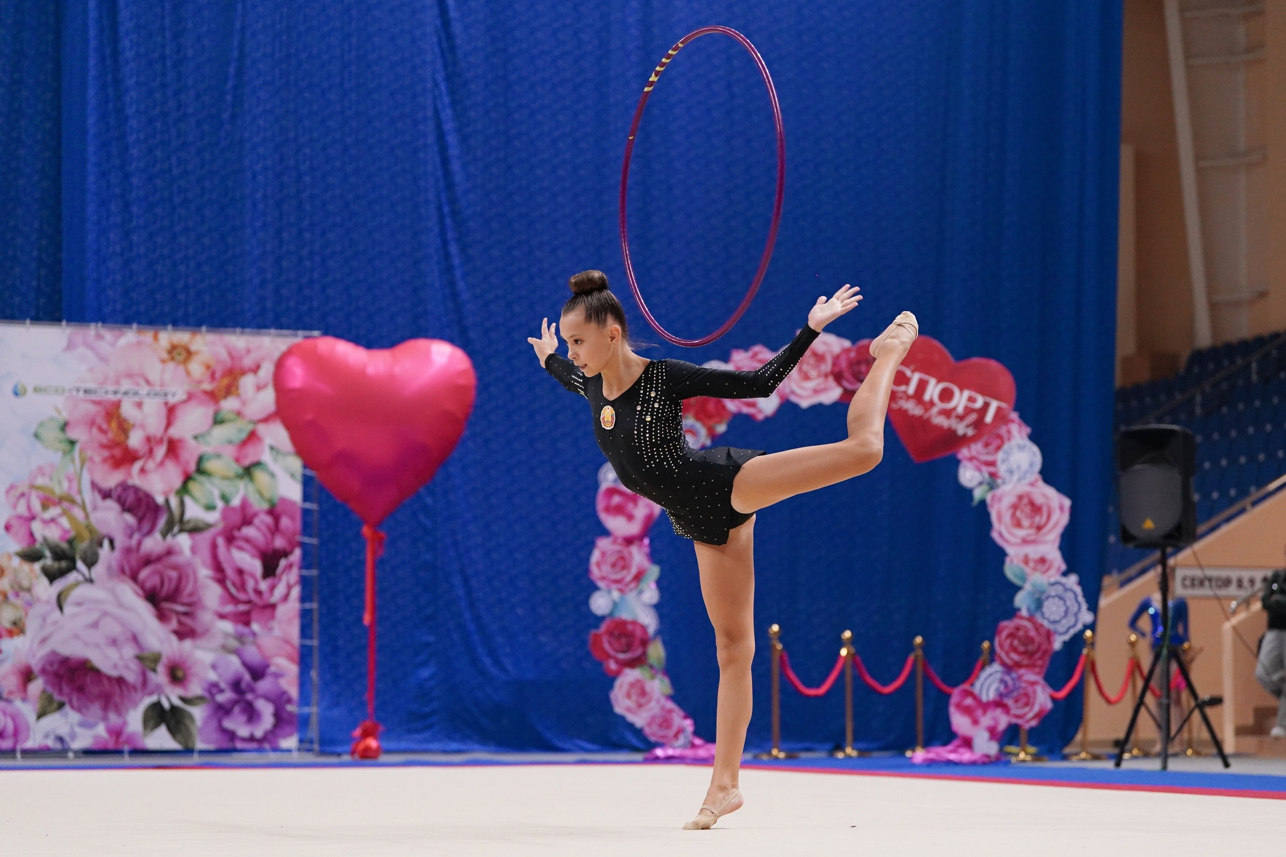 Художественная гимнастика. Портфолио prosport67. Спортивный фотограф Олег Медведев | prosport67 | Смоленск