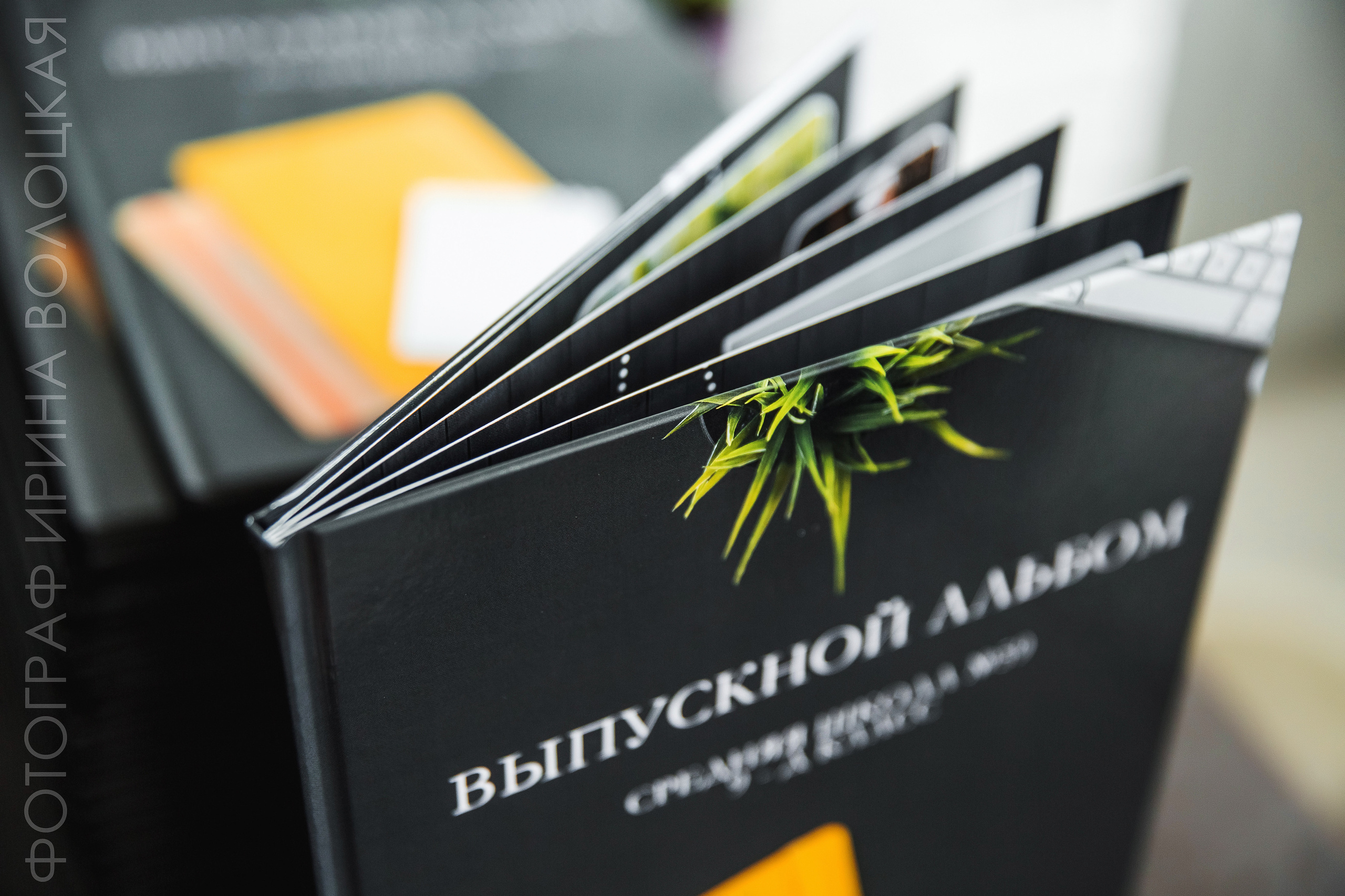 Школа #4. Свадебный фотограф Ярославль Ирина Волоцкая