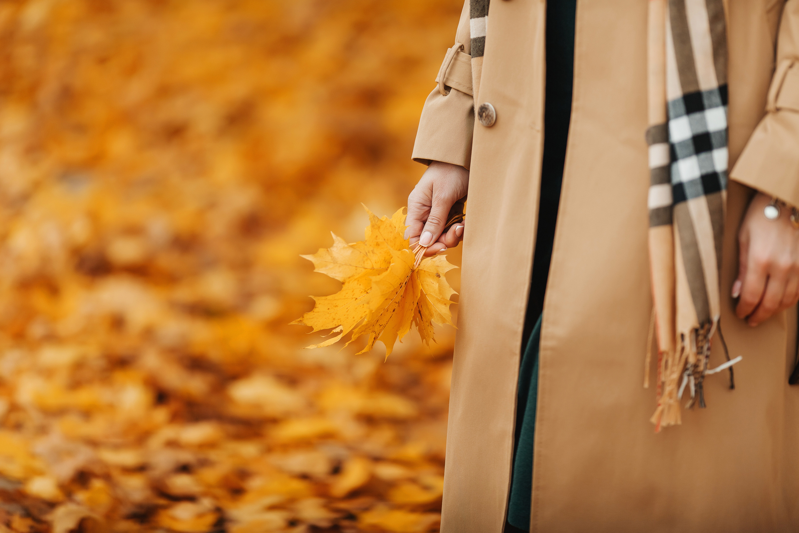 Семейная фотосессия. Свадебный фотограф Ярославль Ирина Волоцкая