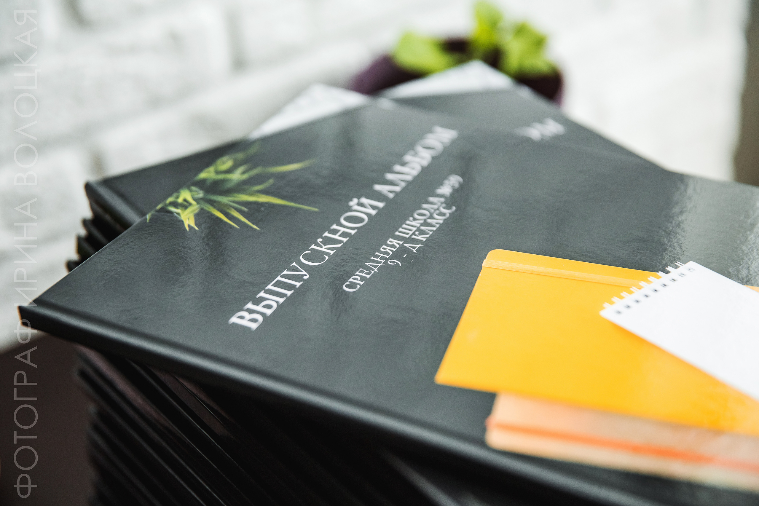 Школа #4. Свадебный фотограф Ярославль Ирина Волоцкая