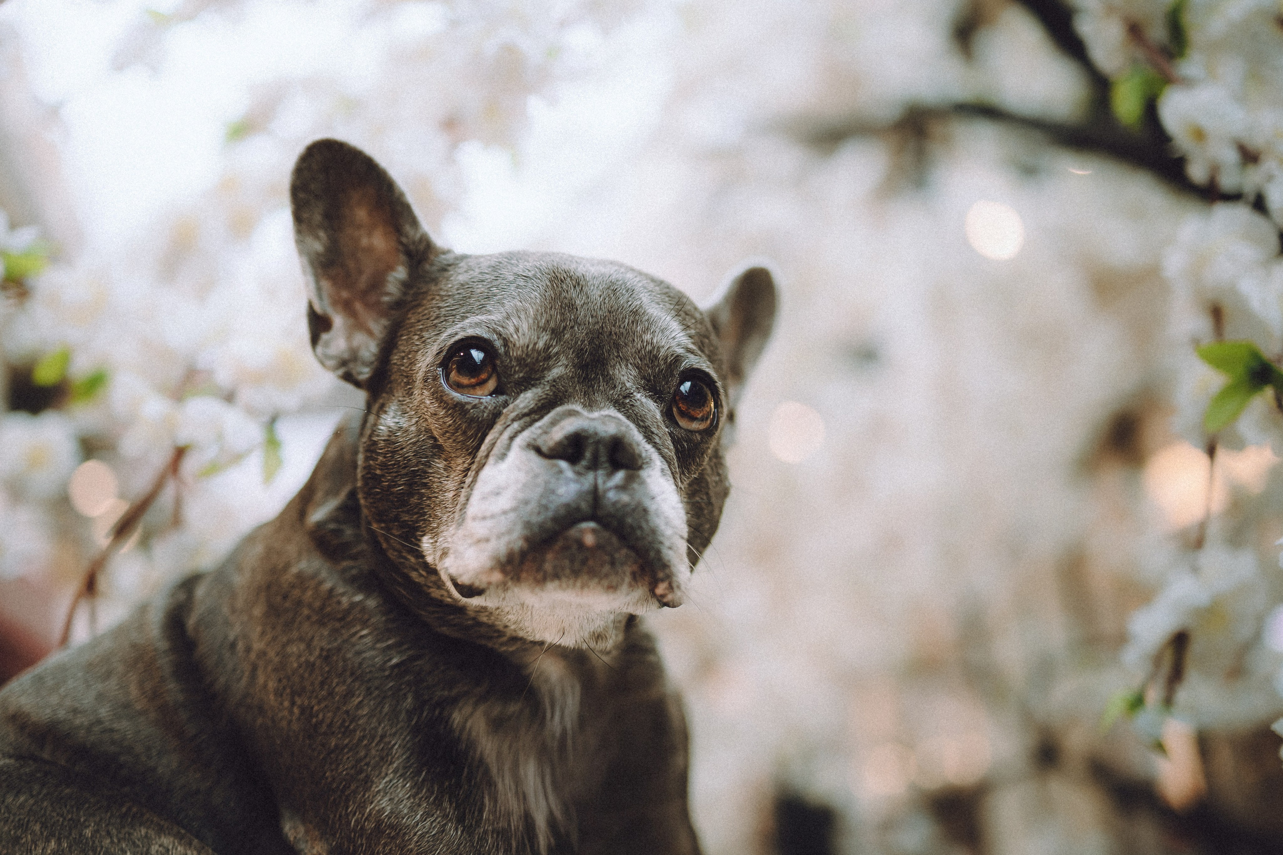 Юля, Вова и Моня