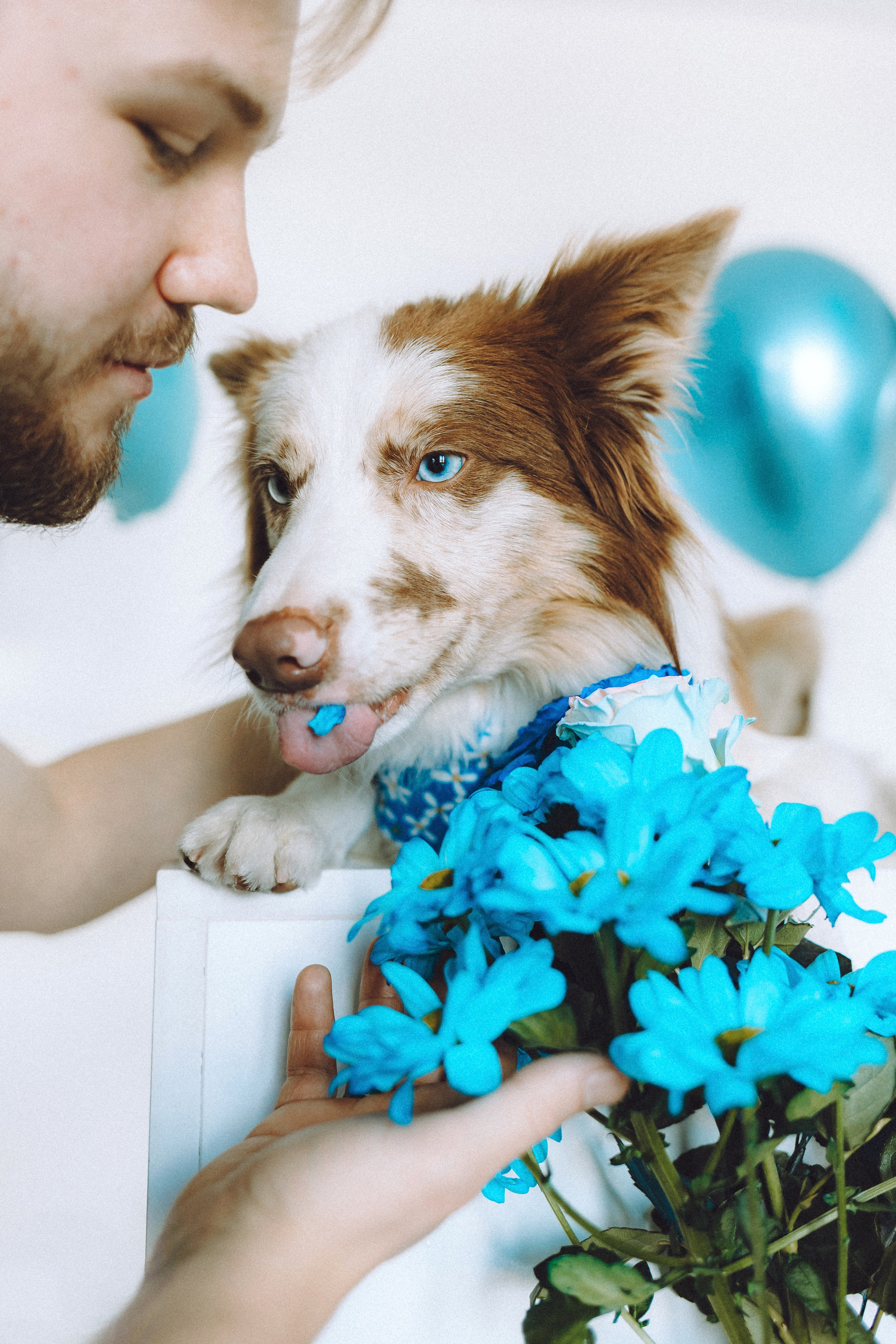 День рождения Айко