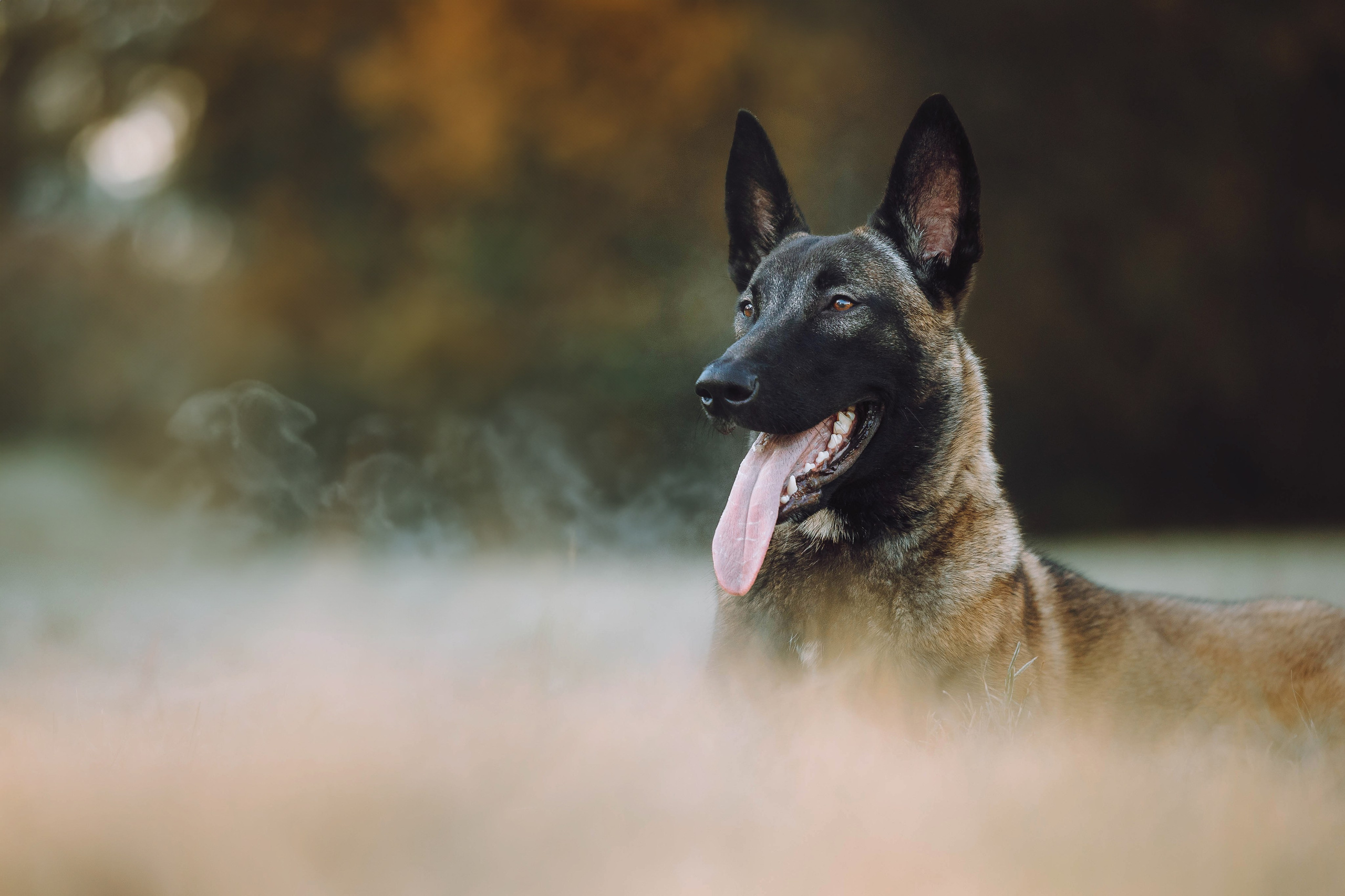 Никита и Ярик