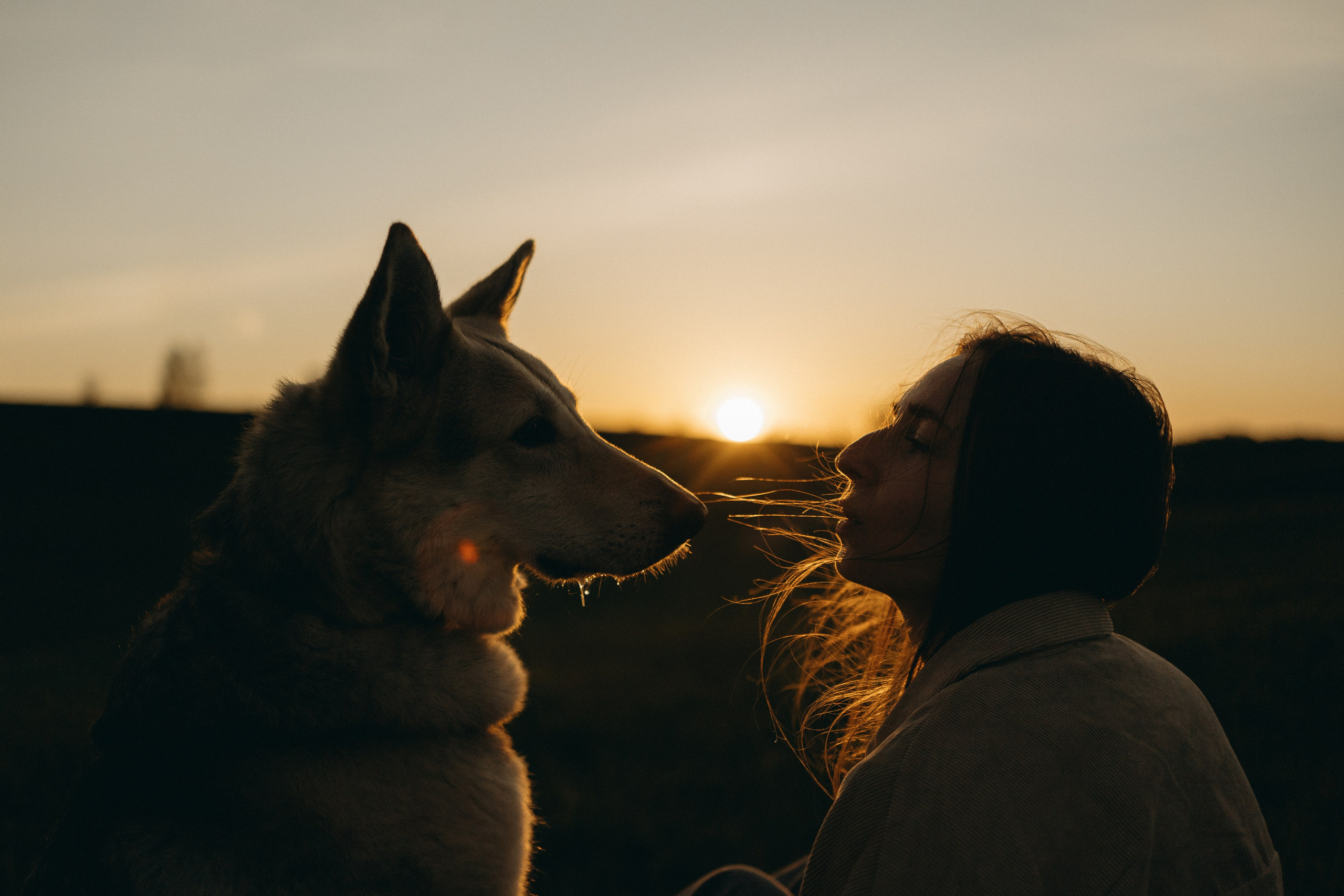 Саша и Зельда. Фотограф — Анималист | Санкт-Петербург