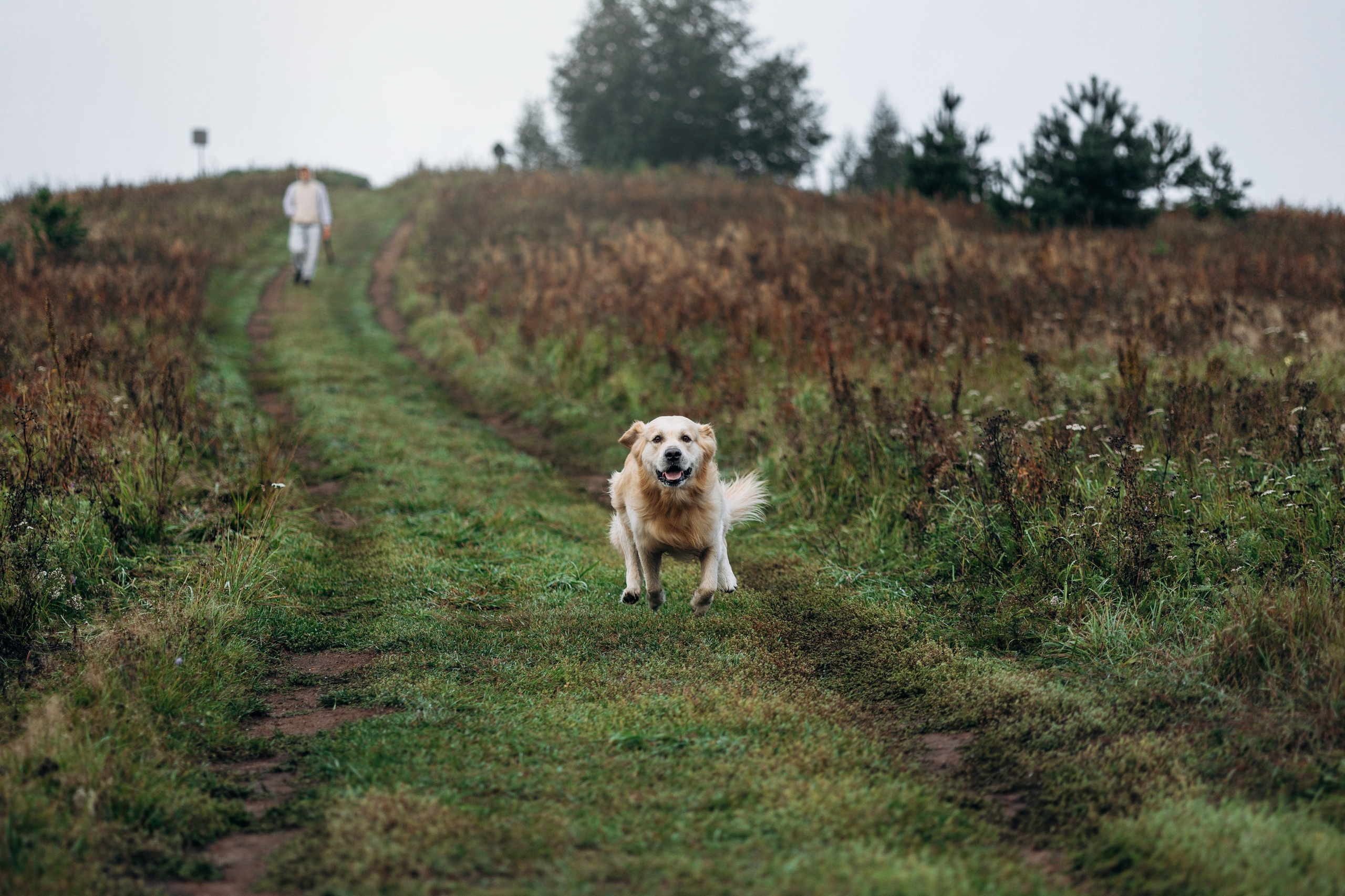 Лёва и его семья. Фотограф — Анималист | Санкт-Петербург