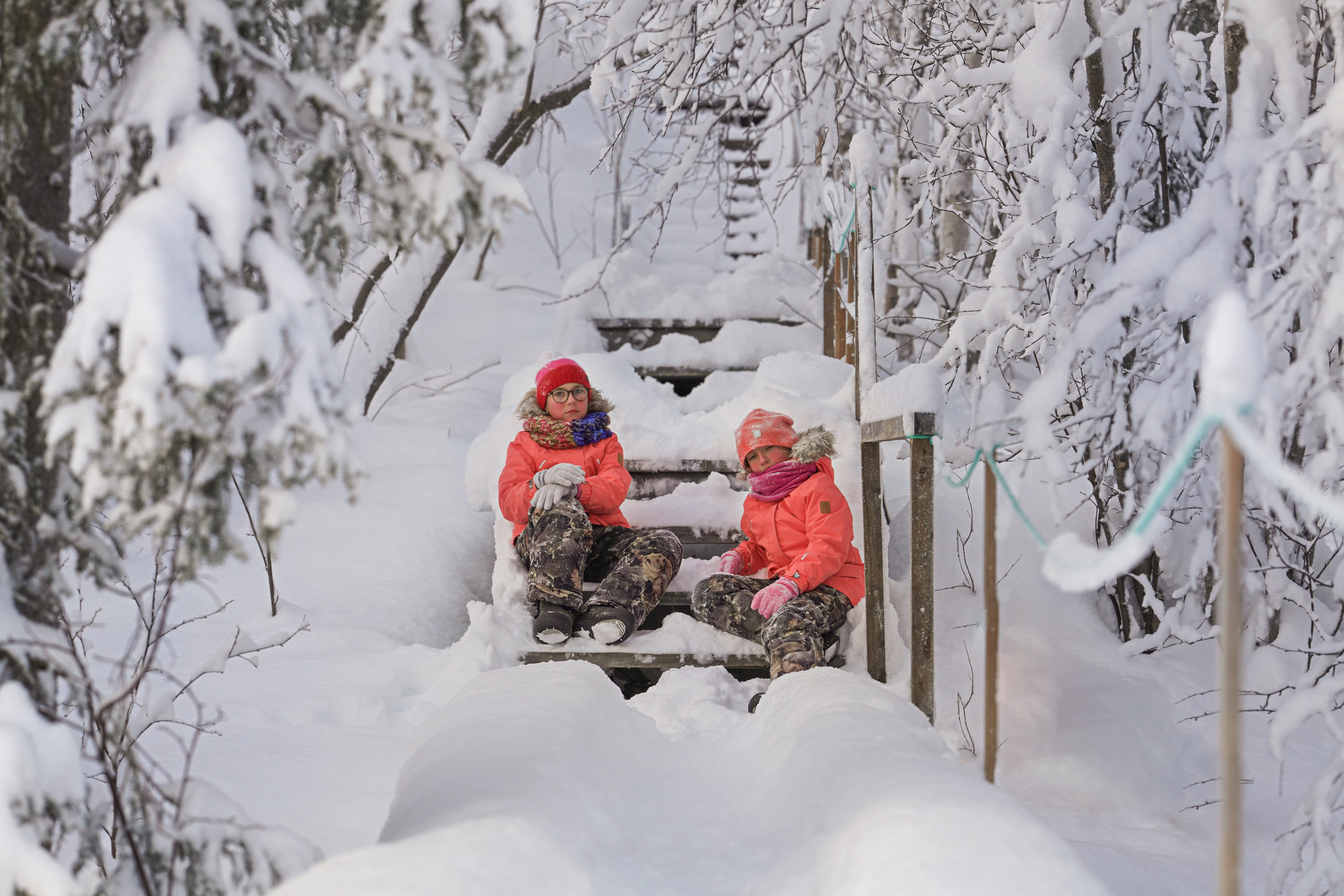 На природе. Творческий фотограф Ирина Баландина.  Санкт-Петербург, Мурманск