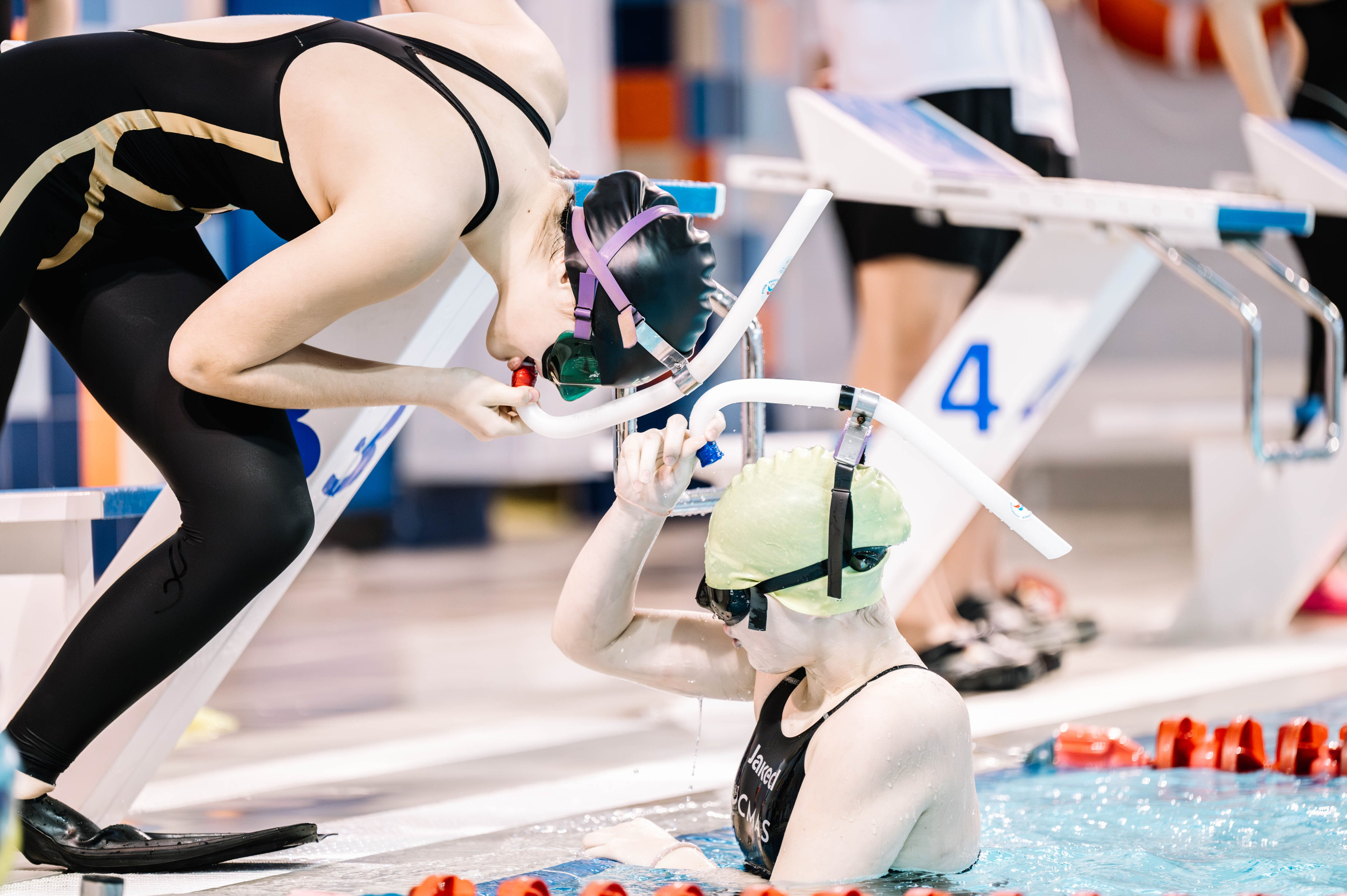 Второй этап кубка плавания ШК Дельфин. Декабрь 2024. Спортивный фотограф в Туле и Тульской области. Файсханова Фото Спорт