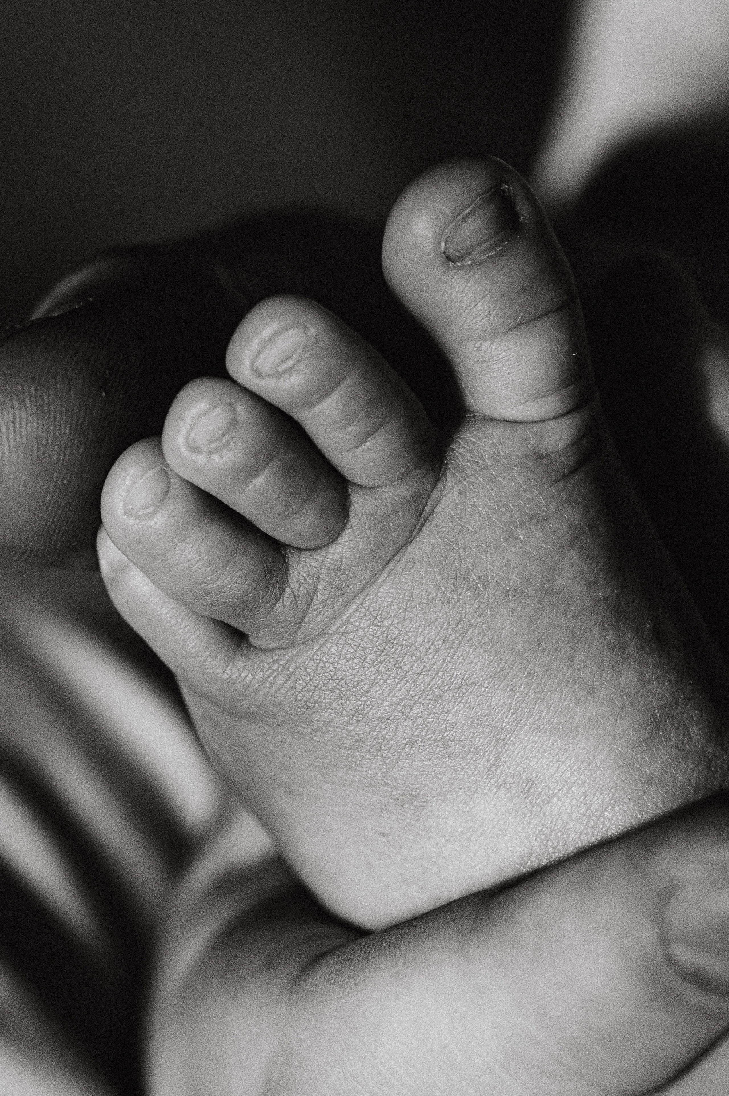 Иван, Ксения и Лев. Фотограф беременности и семьи, домашние съемки, Ньюборн