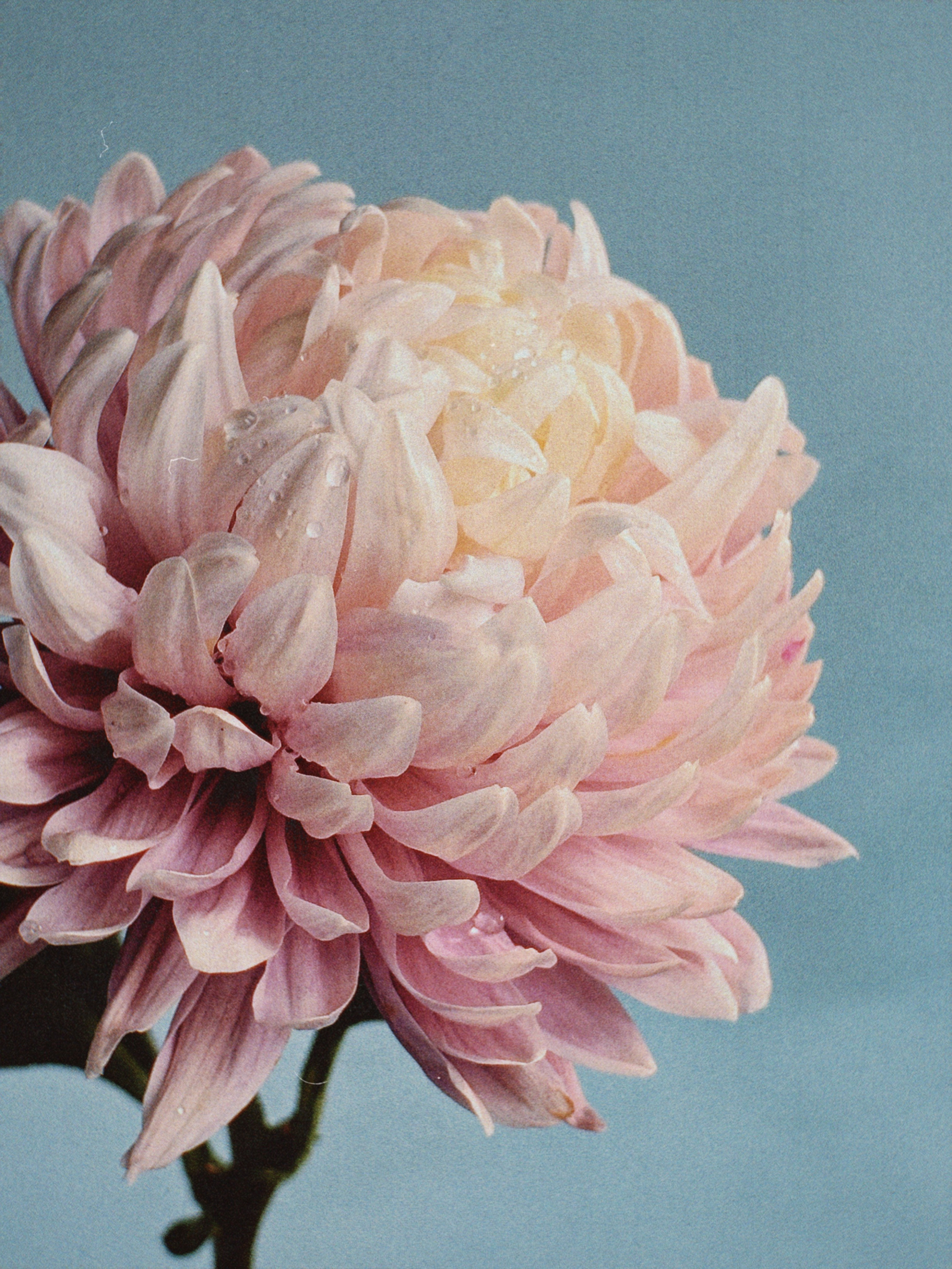 Предметная съёмка. Чувственный мобильный фотограф в Казани и Сочи Дьяченко Дарья