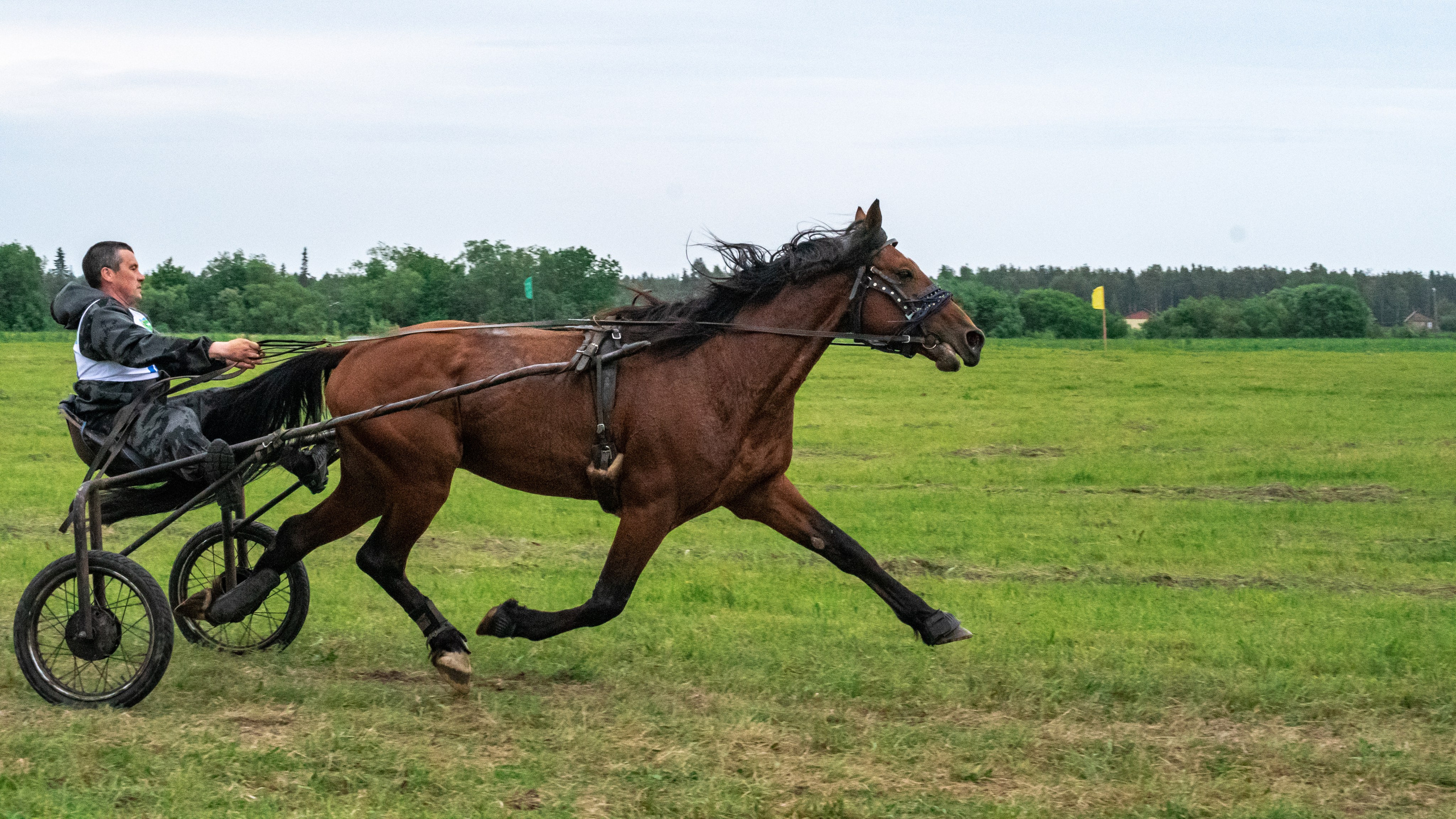 Луд 2023. Фотограф в с. Ижма Республика Коми Терентьев Сергей