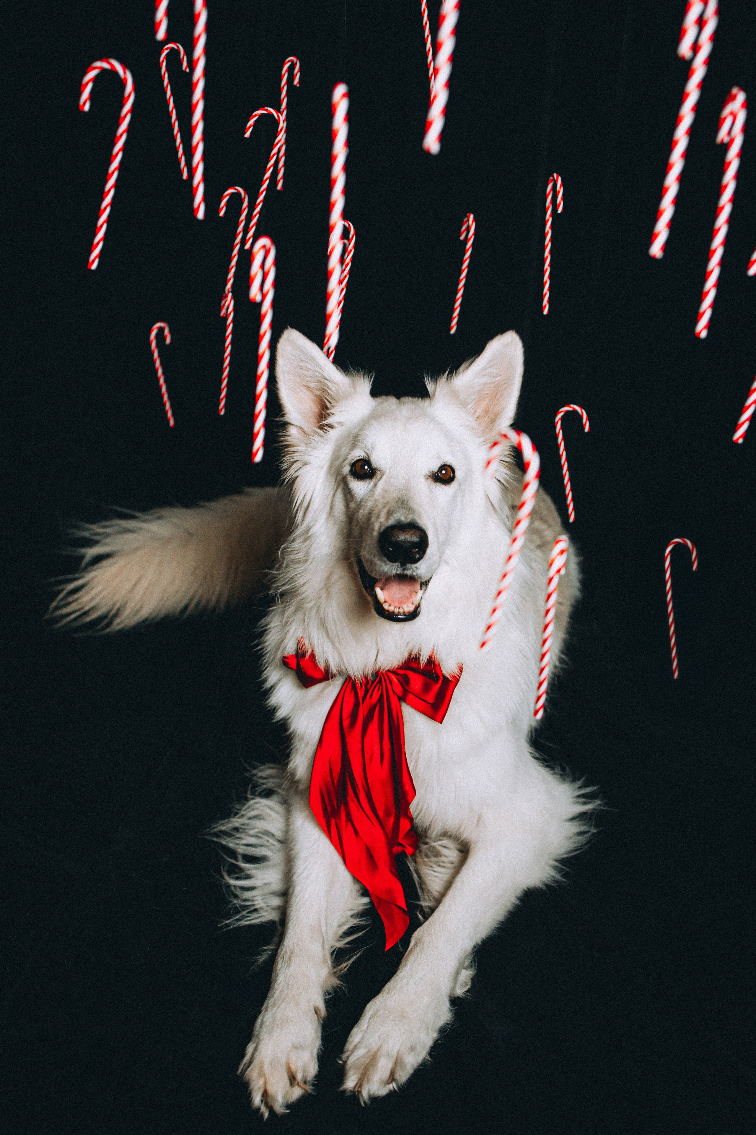 Джек, Бет и Кову