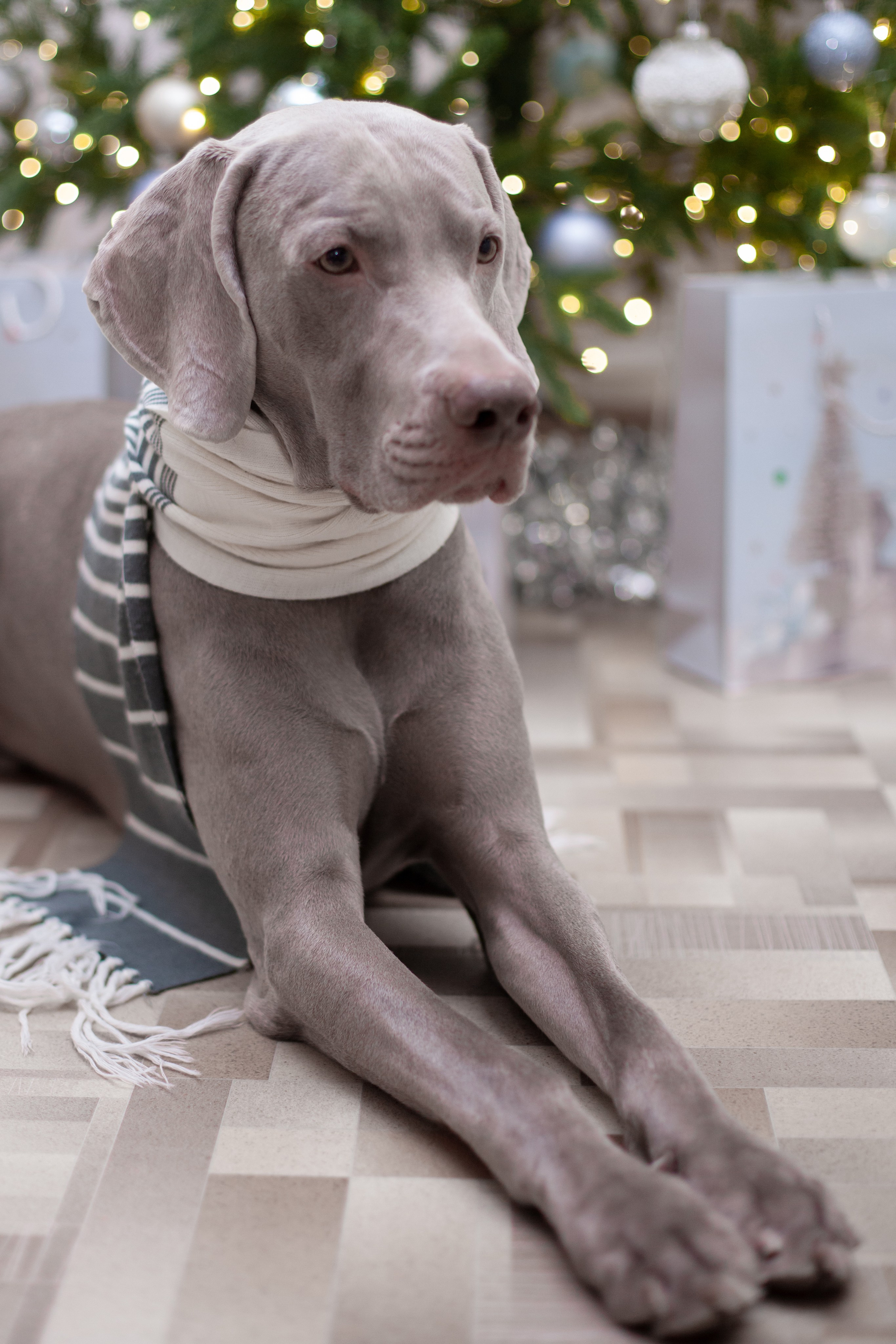 Домашняя. Фотограф в Томске Евгения Гуляева