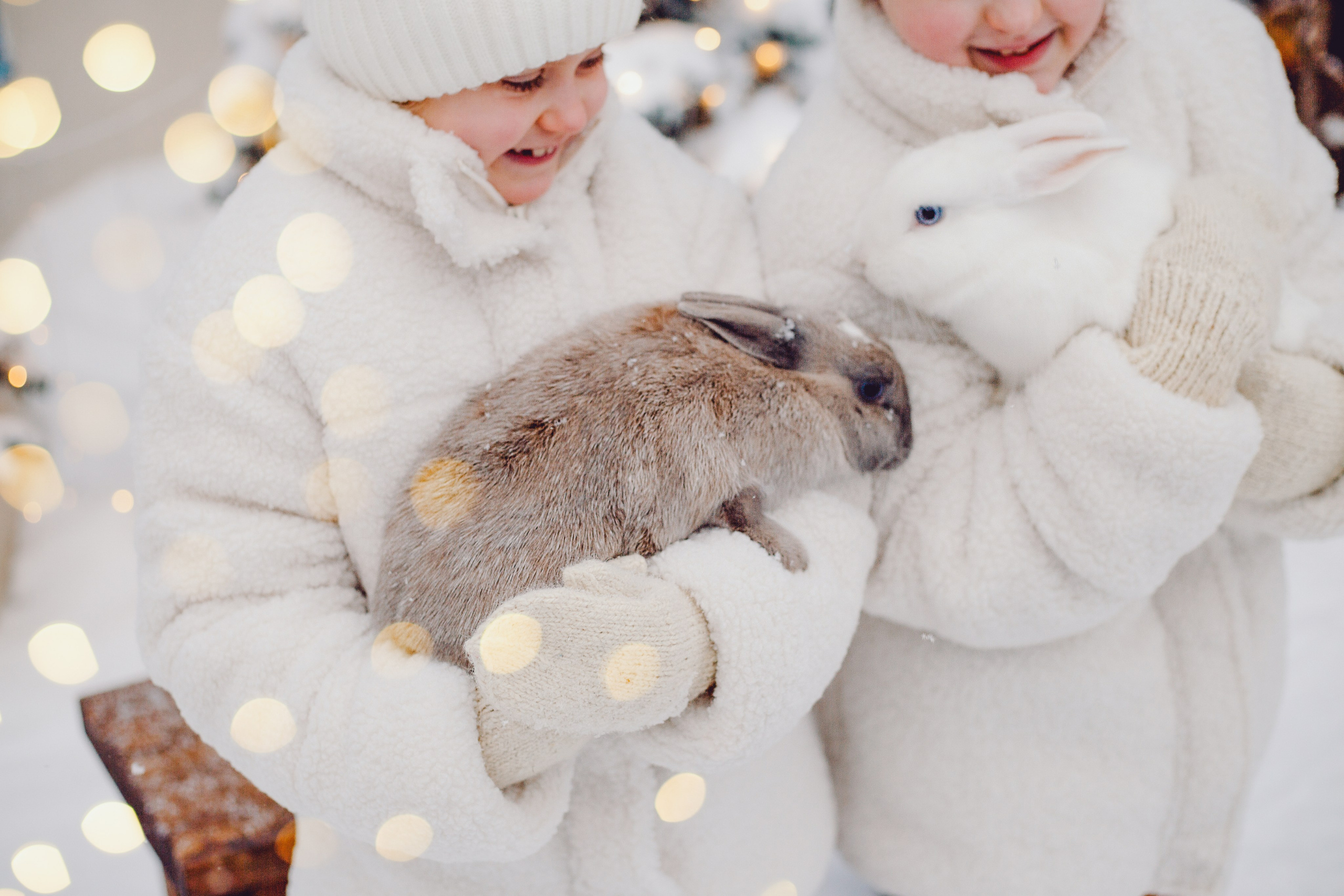 Семейная новогодняя фотосессия. Фотограф в Казани Ольга Яшина
