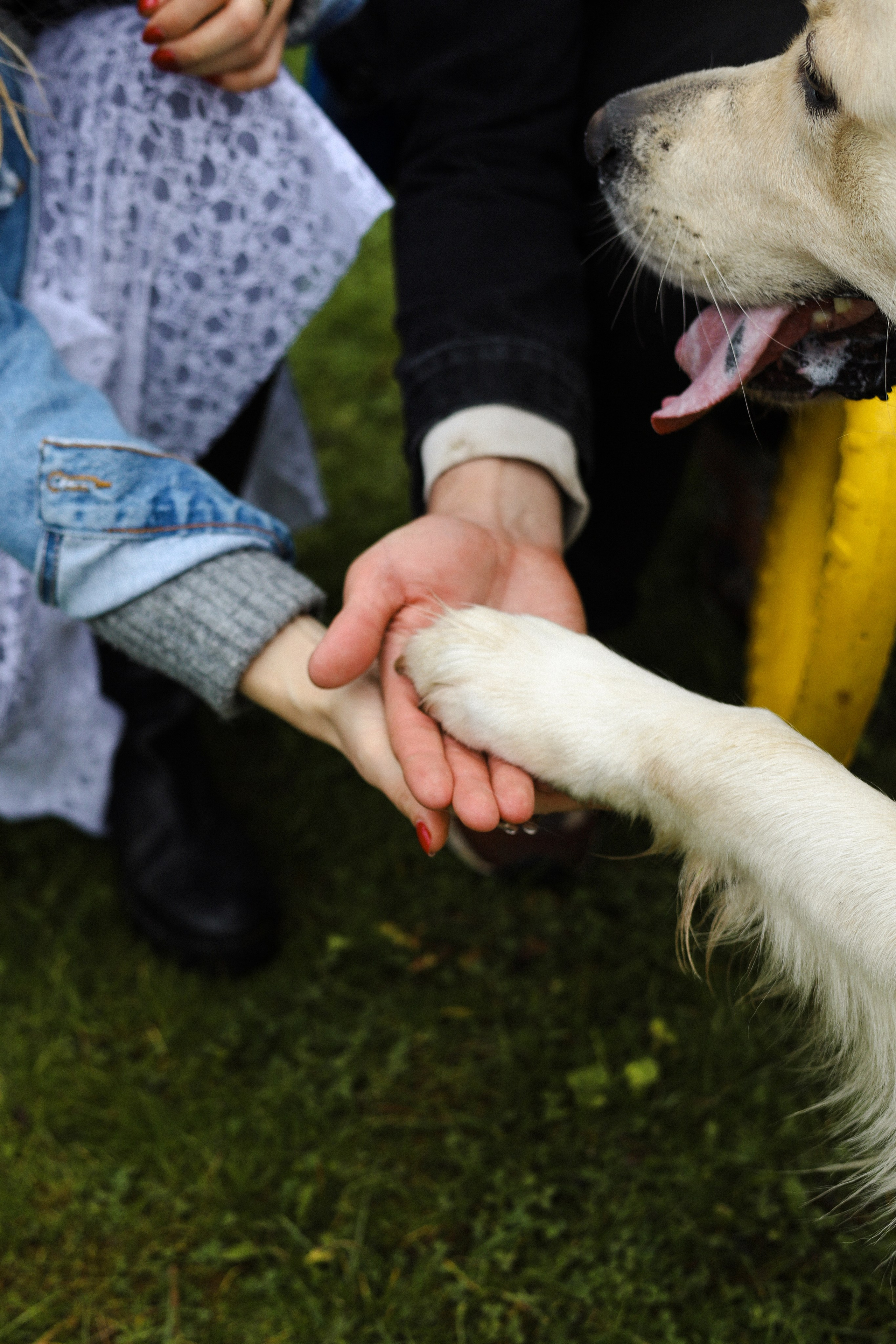 Фрэнк, Даша и Максим. Фотограф-анималист Ксения Шевцова|Москва
